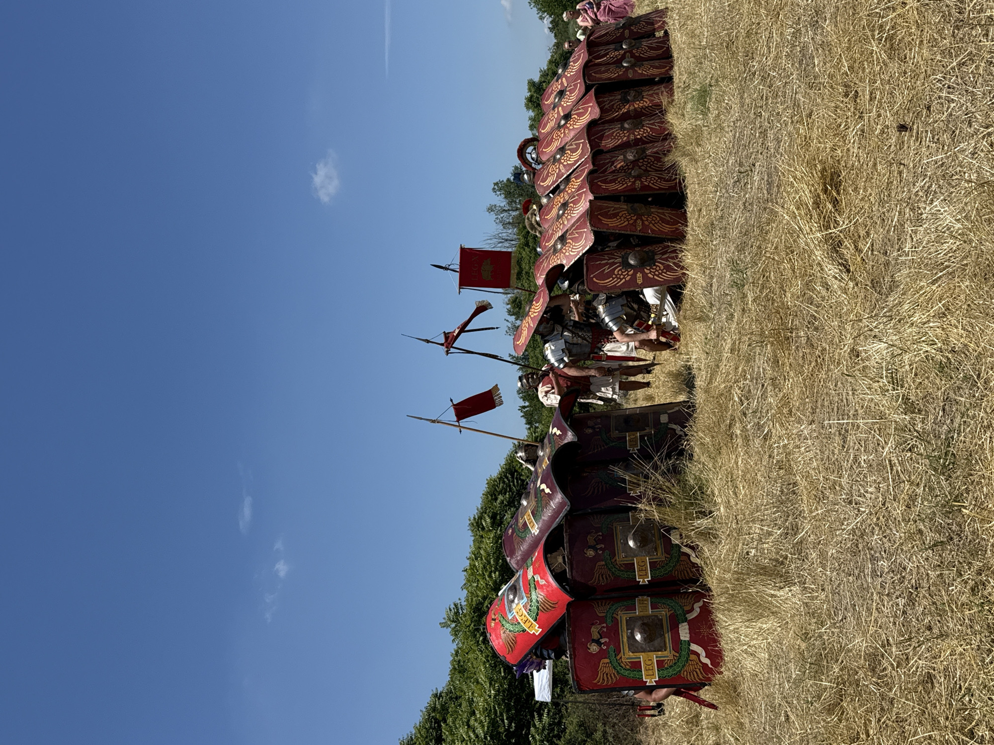 A Roman military reenactment is captured in a dry, golden-brown grassy field under a clear blue sky with sparse white clouds in the city of Gigen, Bulgaria. Approximately ten to fifteen individuals, dressed in Roman legionary armor including lorica segmentata and tunics, are forming a testudo (tortoise) formation with large, rectangular scuta (shields). Most shields are dark red/maroon with gold winged designs and central metallic bosses; some display "LEG" lettering. Two prominent shields on the far left are bright red with green and gold wreaths and also bear "LEG." Several shields are positioned vertically, while others are laid horizontally on top. Three standards with red vexilla (flags) are visible; one on the left, and two taller ones in the center-right, one of which has a spear-like finial. A dense line of green trees and bushes forms the background on the left and center. A person in a pink garment is partially visible on the far right.