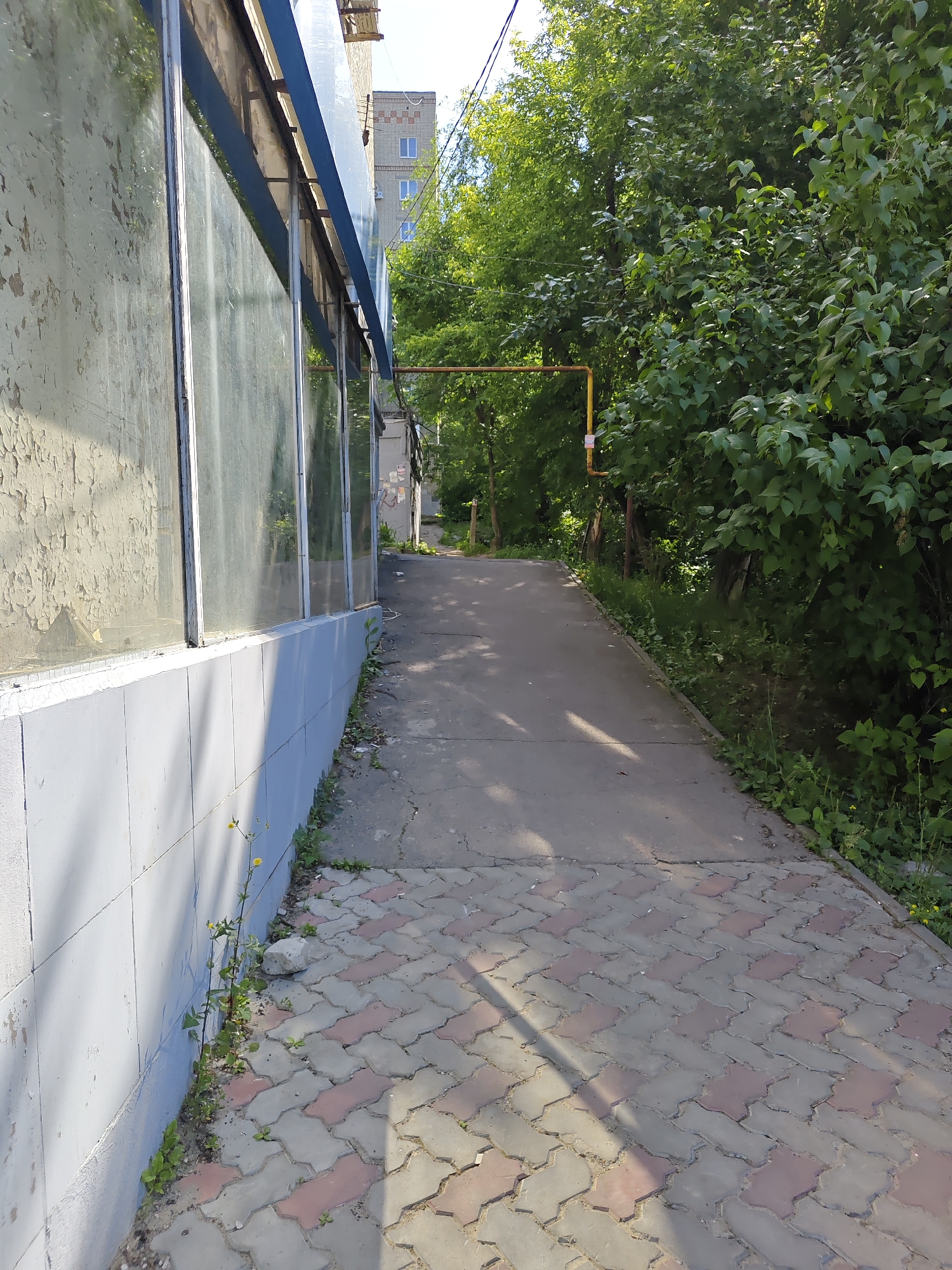 The image depicts an outdoor scene with a paved walkway in the foreground leading into a somewhat overgrown area with trees and vegetation. On the left side of the walkway, there is a building with large, grimy windows and a light blue, tiled base. The building wall appears weathered and discolored. The walkway itself is made of interlocking pavers, a mix of grey and reddish-brown, showing some signs of wear and tear.
Further down the walkway, a yellow pipe, possibly a gas line, is visible, running horizontally through the trees. In the background, a multi-story brick building with windows can be seen peeking through the foliage. The trees are lush and green, indicating it is likely daytime and possibly spring or summer. Sunlight casts shadows on the walkway, suggesting a sunny day. The overall impression is one of an urban environment with elements of nature encroaching. There are no people or animals visible in the image.