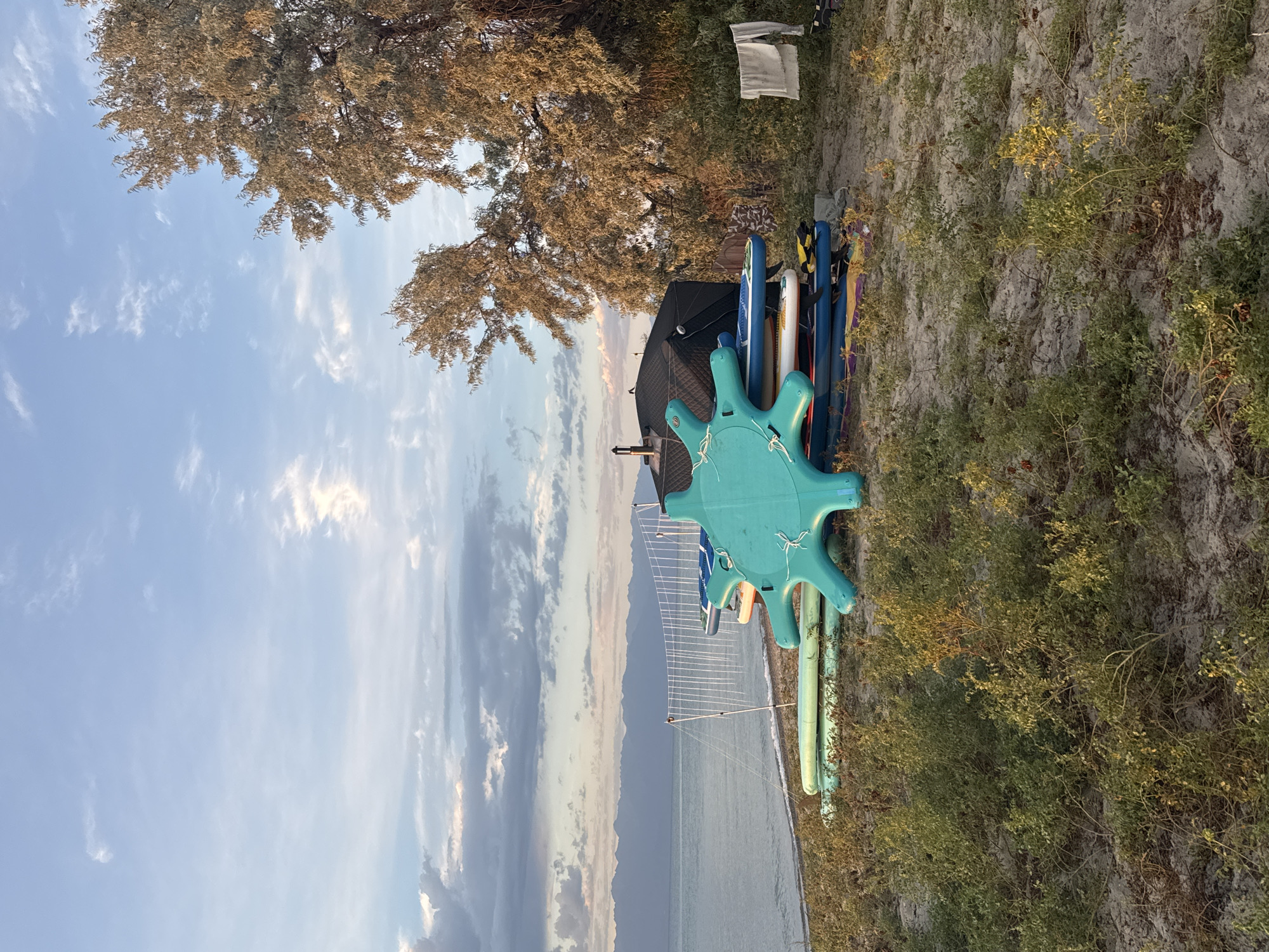 The image depicts a serene lakeside scene in Basbeshik, Kyrgyzstan. The foreground is characterized by sandy terrain dotted with low-lying green vegetation, with some areas showing dried grass and twigs. In the midground, a stack of paddleboards and other water sports equipment is arranged on the sand. A prominent turquoise turtle-shaped float rests on top of the stack. To the left of the equipment, a volleyball net is set up, extending towards the water. Beyond the net, a body of water, likely a lake, stretches out, with distant mountains visible on the horizon under a pale blue sky with scattered clouds. To the right of the paddleboards, a dark, tent-like structure is partially visible, and beyond that, a large tree with sparse, light-colored foliage dominates the right side of the frame. A piece of white fabric, possibly a towel, is draped over a branch of the tree. The lighting suggests it is either early morning or late afternoon, with a soft, warm glow. There are no people visible in the image.