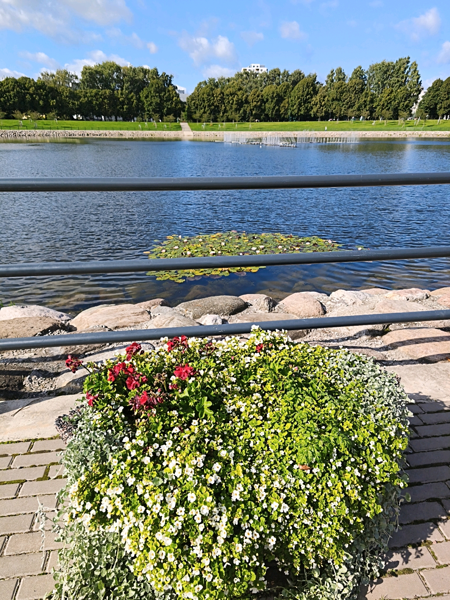 This is a medium shot of a park with a body of water in Tallinn, Estonia. The foreground features a planter box overflowing with greenery and small white and red flowers, bordered by a cobblestone path and large rocks. A dark metal railing runs horizontally across the middle ground, separating the foreground from the water. The water itself is calm, with a cluster of lily pads visible in the distance. Beyond the water, a manicured green lawn slopes upward towards a line of lush green trees. In the background, modern buildings rise above the treeline, and a bright blue sky with scattered white clouds completes the scene. No people or animals are visible.