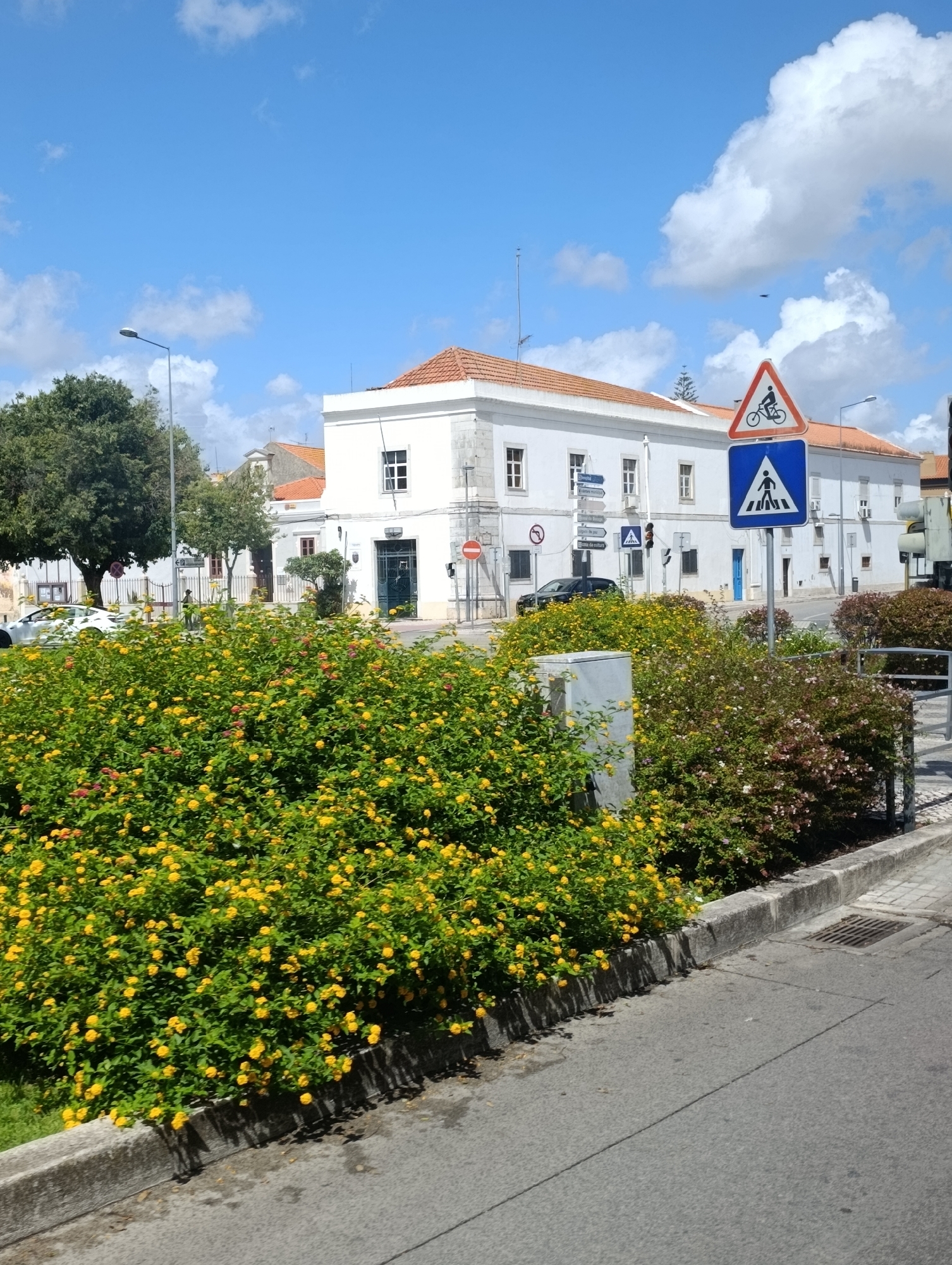 The image depicts a street scene in Setúbal, Portugal, characterized by a white building with a red-tiled roof dominating the background. In the foreground, a vibrant display of blooming yellow flowers and green foliage lines a paved street. Traffic signs, including a pedestrian crossing sign and a bicycle lane sign, are visible on the right side of the street. A black car is parked in front of the building. The sky is blue with scattered white clouds.