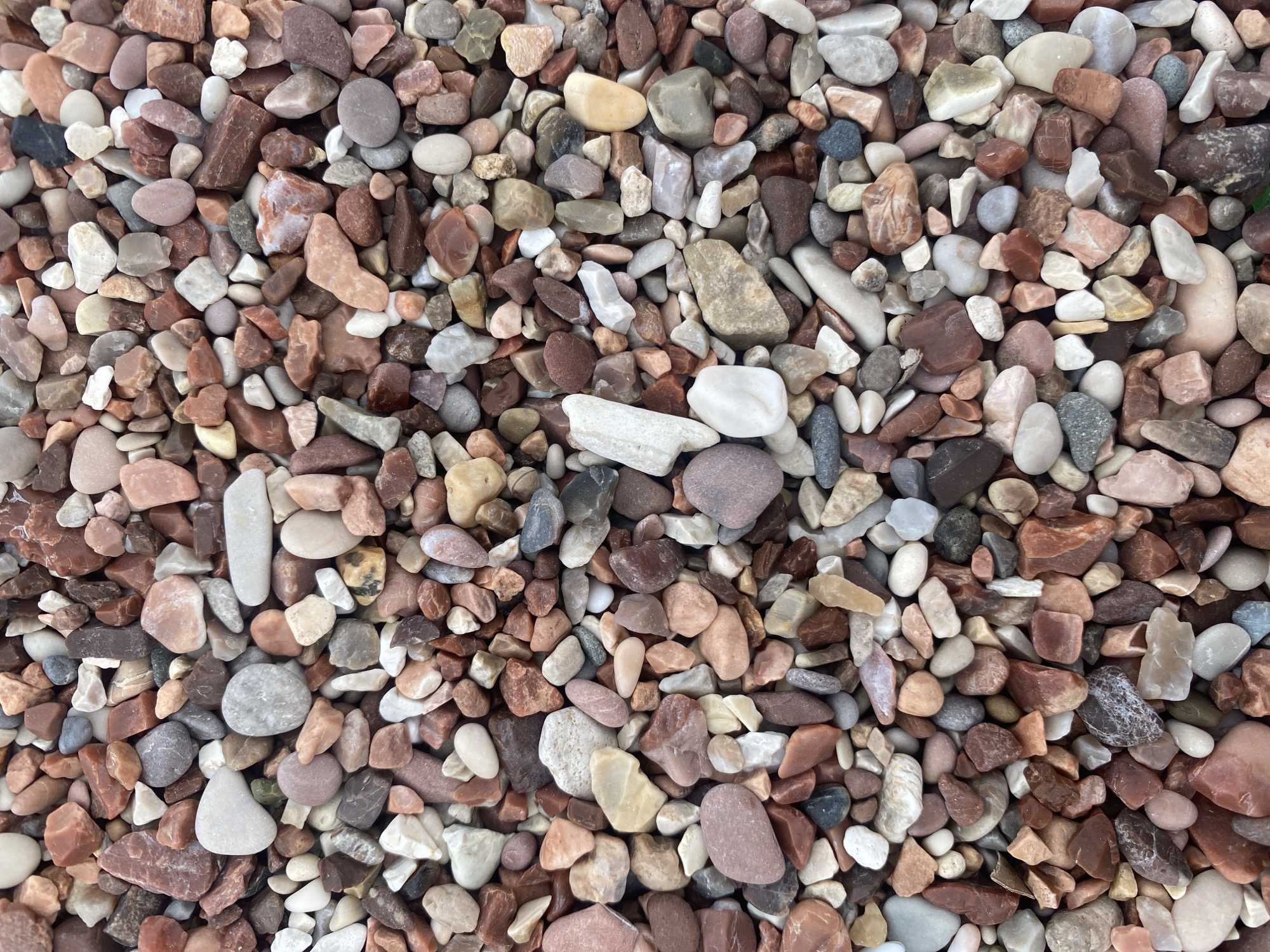The image shows a close-up view of a collection of pebbles. The pebbles are primarily shades of brown, red, white, and grey. The pebbles vary in size and shape, some being rounded, while others have more angular edges. The pebbles appear to be dry and relatively clean. The scene does not include people, subjects, actions, or interactions. The location in the city of Sveti Stefan, Montenegro, is unknown.