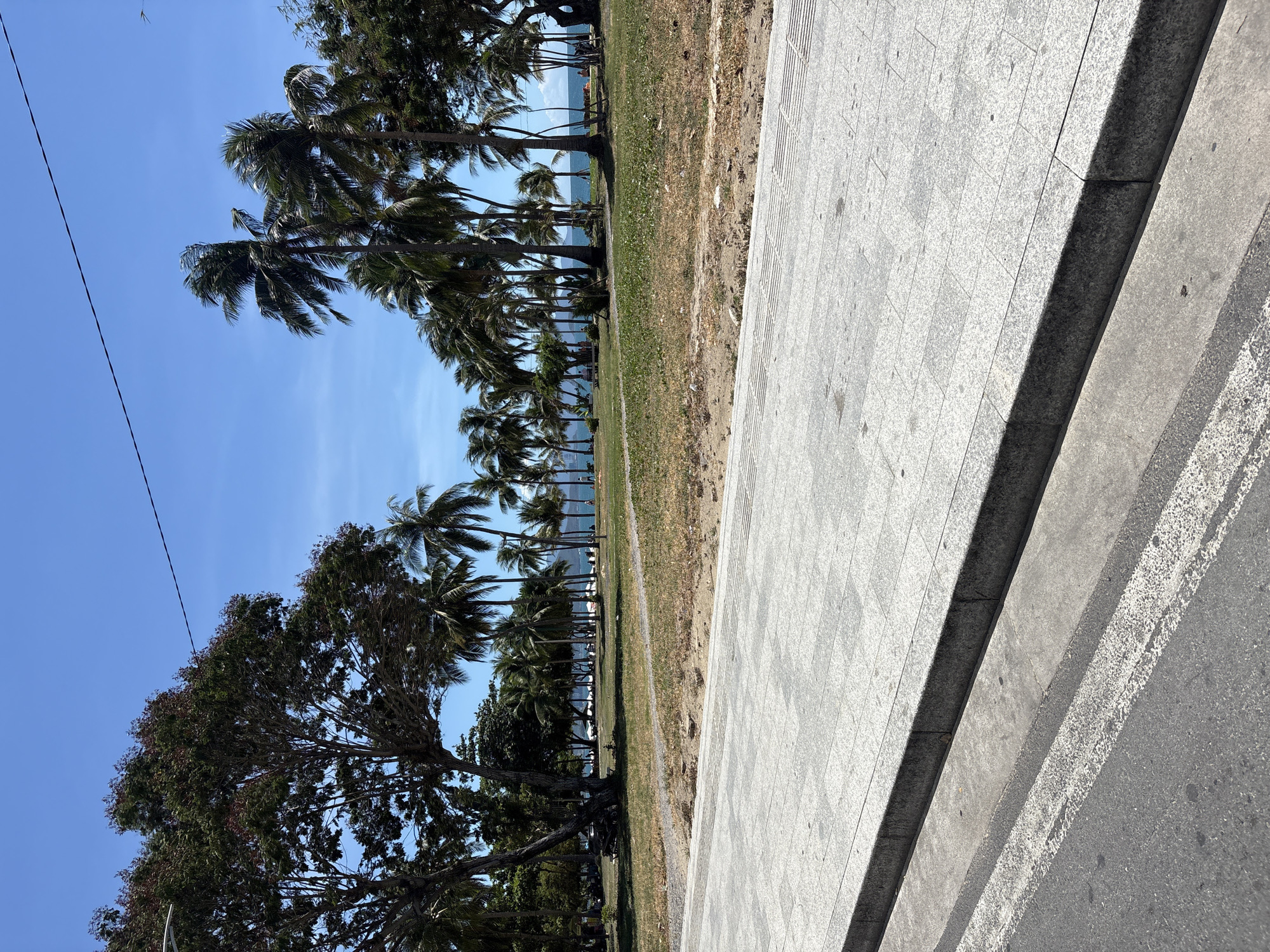 The image shows a view of a tropical beachside environment, likely in Nha Trang Ward, Vietnam, based on the prevalence of palm trees and the coastal setting. The foreground consists of a paved area, possibly a sidewalk or promenade, with geometric patterns on the tiling. Adjacent to the paved area is a strip of grassy terrain with varying tones of green and brown, suggesting a mix of vegetation and dry patches. A row of palm trees is situated along the edge of the grassy area, extending into the midground. These trees are silhouetted against the clear blue sky and the ocean visible in the distance. The sky is uniformly blue with no visible clouds. In the bottom left corner, there is a larger, leafy tree. A powerline is also visible in the sky. There is no presence of people in the shot.