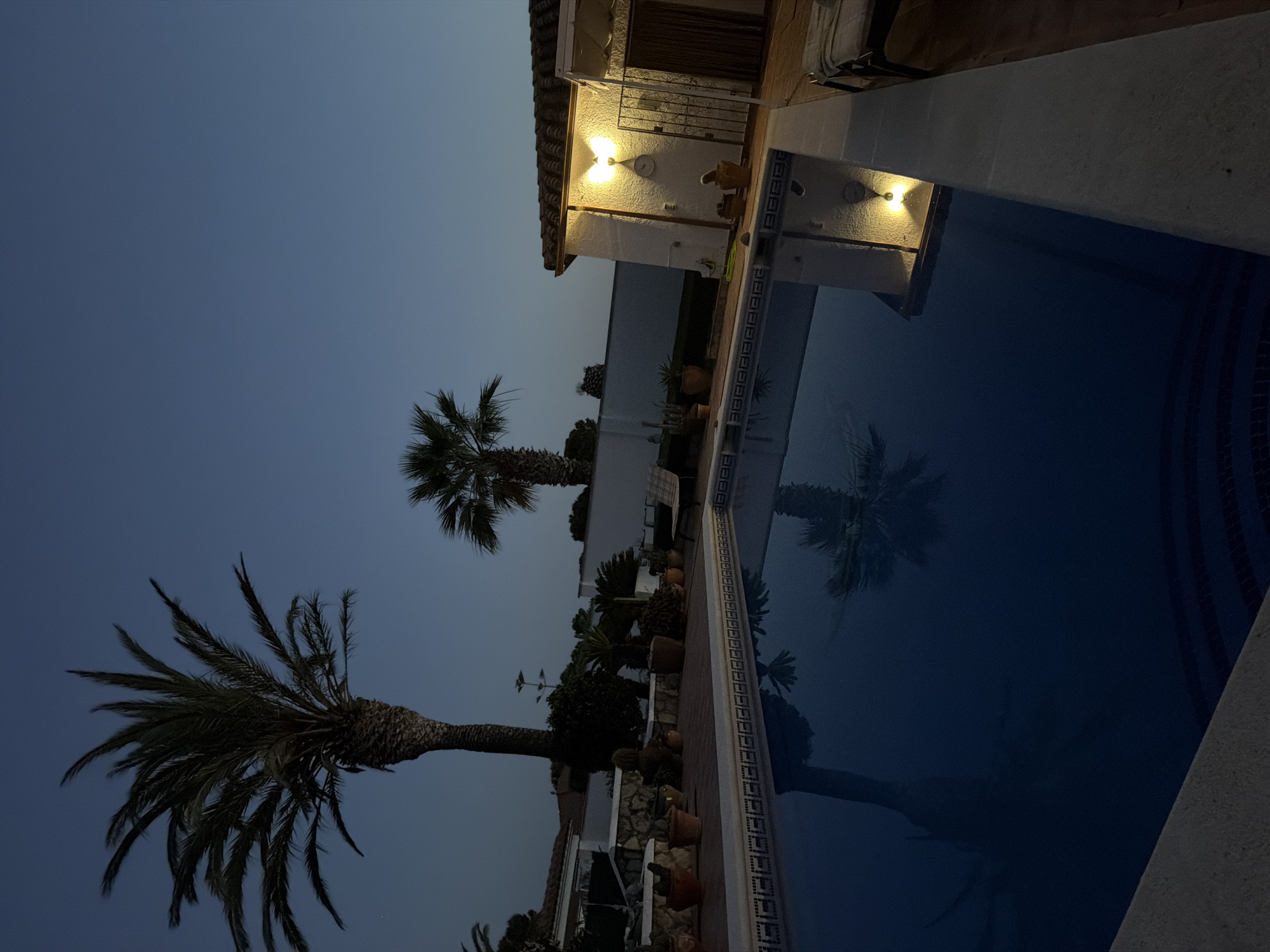 The image shows a swimming pool area in Mont-roig del Camp, Spain, at dusk or night. A building with lit exterior lights stands near the pool. Two palm trees are visible against a blue sky. Potted plants line the edge of the pool area. The pool surface reflects the palm trees and building.