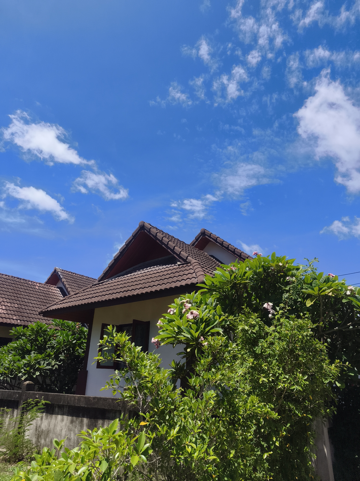 The image shows the exterior of houses in Baan Bo Phut, Thailand. The houses have brown tiled roofs and white walls. A concrete wall surrounds the property. Lush green vegetation, including trees with pink flowers, obscures parts of the houses. The sky is bright blue with scattered white clouds.