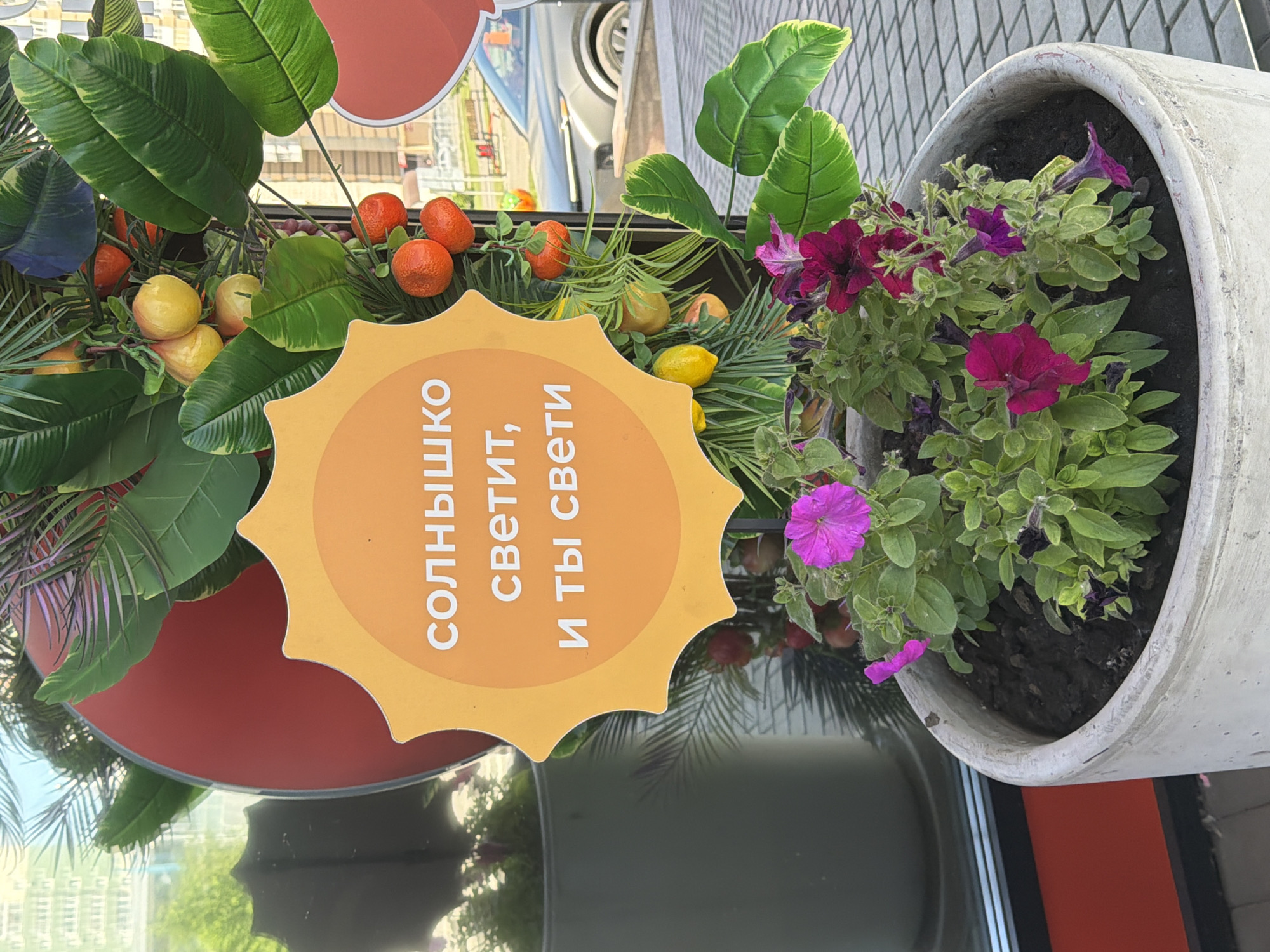 The image shows a decorative arrangement of artificial fruits and plants in a large concrete planter. A sun-shaped sign with Russian text is prominently displayed. The text translates to "The sun is shining, and you shine too." In the background, a car is visible, suggesting an outdoor urban setting. While the image does not explicitly state its location, a red circular object in the background is reminiscent of the branding of a local cinema in Krasnoyarsk, Russia, which often features such decorations. This leads to the hypothesis that the photo might have been taken near that cinema. The overall scene depicts a cheerful and summery ambiance.