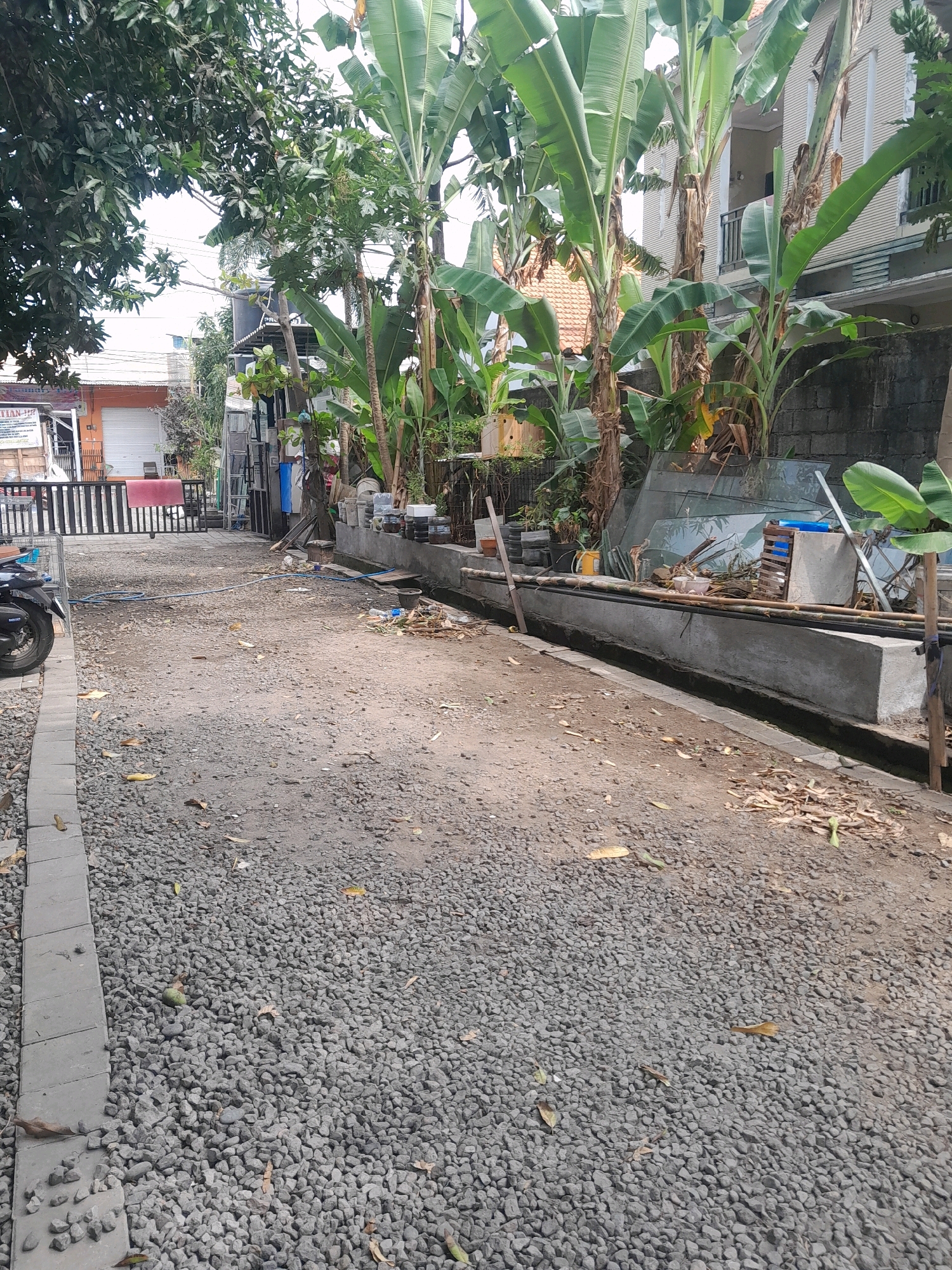 The image shows a view of a street or pathway in Denpasar, Indonesia, characterized by its unpaved, gravel surface and lined with concrete and stones on the left. Several large banana trees are prominent in the mid-ground, with their distinctive broad leaves. Behind the banana trees, a multi-story building with a cream-colored facade and balconies is visible. To the right of the banana trees, a concrete channel or gutter runs along the side, and a pile of discarded materials, including glass sheets, bamboo poles, and plastic containers, is present. In the foreground, on the left side of the pathway, a motorcycle is partially visible, suggesting recent activity. The overall environment appears to be an urban or suburban setting in a tropical climate.
