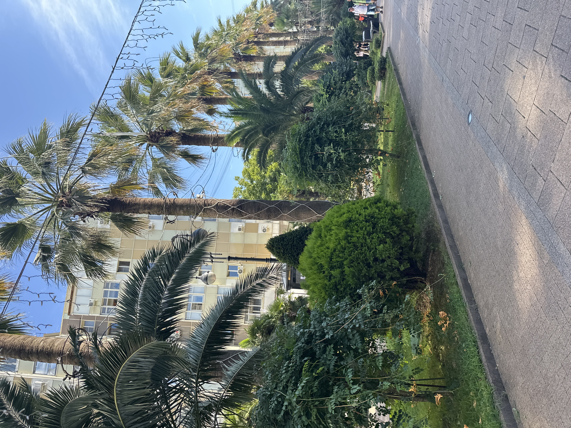The image depicts a sunlit scene along a paved walkway in Sochi, Russia, likely near a coastal resort area. Towering palm trees dominate the foreground and midground, their fronds casting dappled shadows on the path. Behind the trees, a multi-story building with a light-colored facade stands, featuring numerous windows and balconies. The walkway is lined with well-maintained green bushes and shrubs, some of which are meticulously shaped into topiary forms. A string of decorative lights is suspended between poles above the trees, suggesting preparation for an evening event or a festive atmosphere. In the background, several individuals are walking along the path, with one person in the far right foreground wearing a white shirt and blue shorts, and another person beside them in a red shirt. The sky is a clear blue with wispy clouds. The overall impression is one of a pleasant, well-kept urban park or promenade.