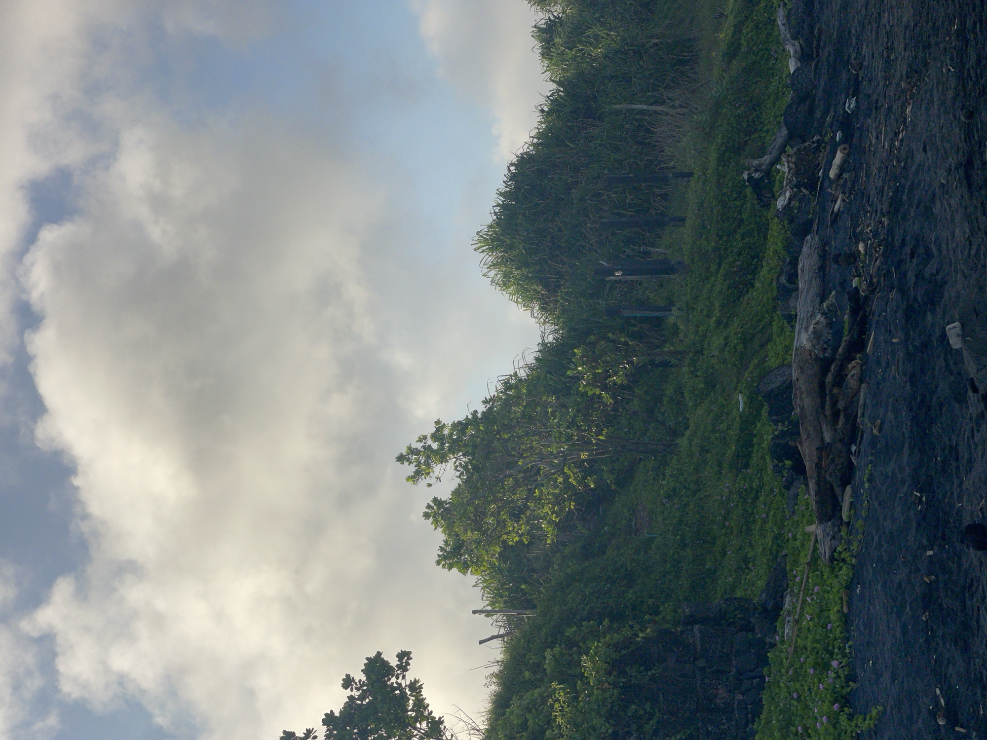 The image depicts a landscape with a cloudy sky and a rocky, vegetated terrain. The sky occupies a significant portion of the frame, exhibiting a mix of blue and white clouds. The lower part of the image is dominated by dark rocks and dense greenery, suggesting a natural setting rather than an urban environment. Based on the location, the city of Kediri in Indonesia, the image likely captures a natural site with volcanic rock formations covered in tropical vegetation. There is no presence of people in the frame.