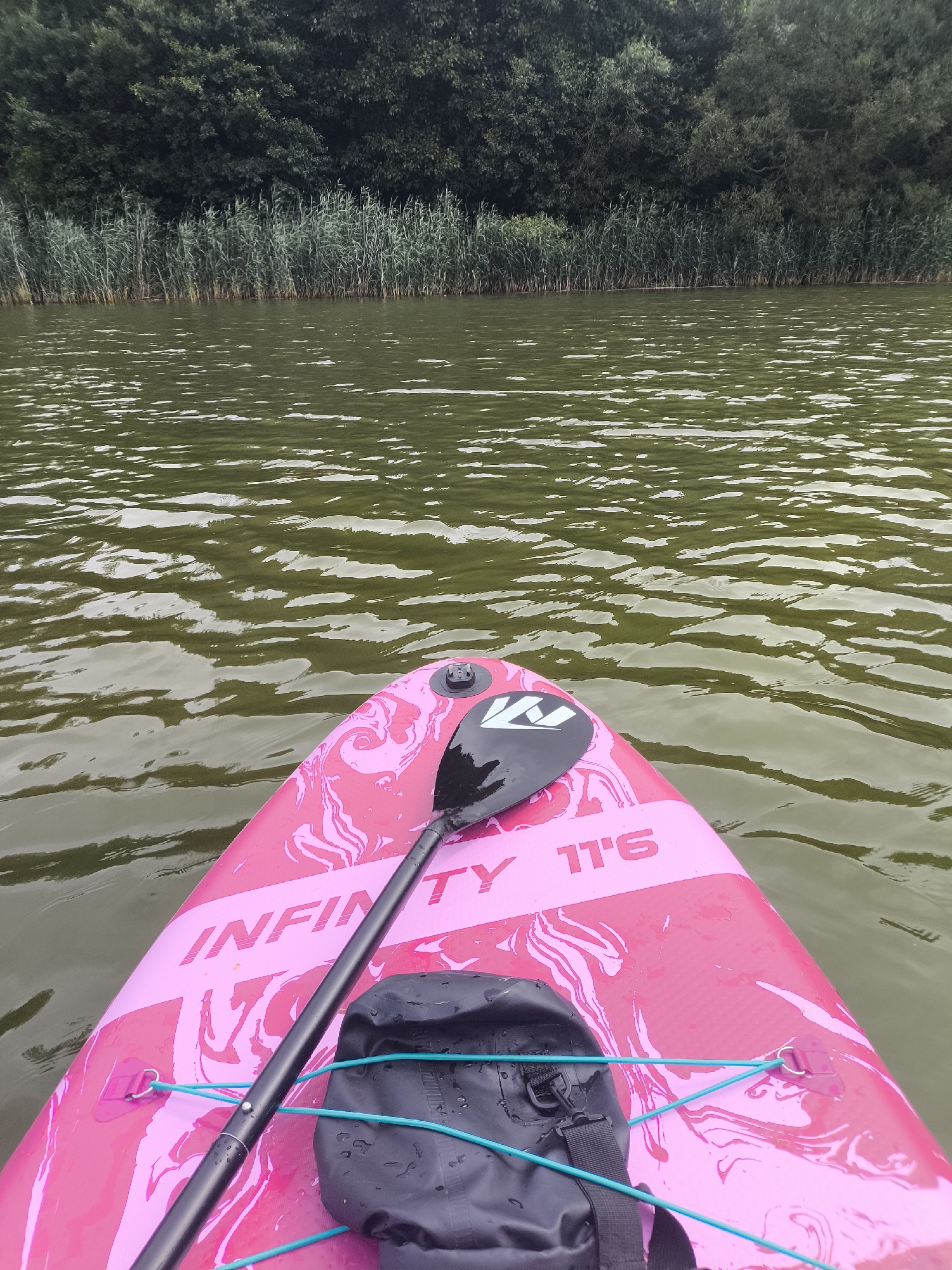The image shows a first-person perspective of someone on a pink paddleboard in a body of water. The paddleboard has a black paddle resting on it, and a black waterproof bag is secured to the front with blue bungee cords. The water has ripples and appears to be a murky green color. In the background, there is a dense line of green reeds and trees. The scene does not provide any specific visual cues to indicate a location within the city of Kaliningrad, Russia.