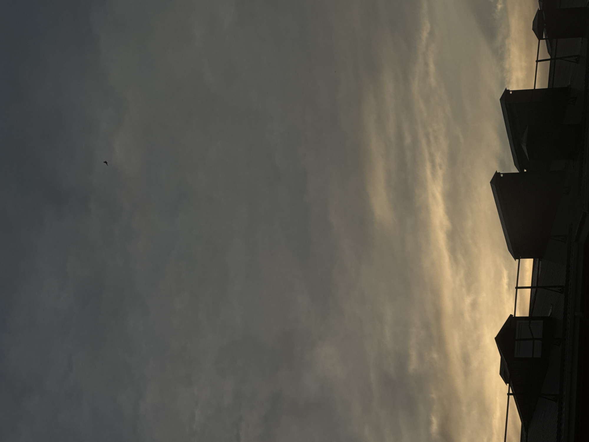 The image shows the rooftops of buildings against a cloudy sky, possibly at dusk or dawn. A single bird is visible in flight in the upper portion of the sky. The scene is silhouetted against the lighter sky, giving it a somewhat dramatic or somber feel.