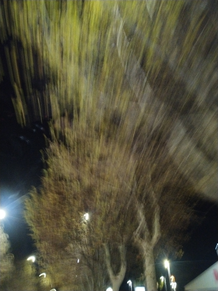 A blurred image captures the tops of trees lining a street at night. The trees, with their light-colored leaves and branches, are illuminated by street lights visible as glowing orbs in the darkness. The long exposure or movement during the shot creates streaks, blurring the foliage and light sources. The sky is dark, contrasting with the illuminated tree crowns and the bright street lights along the bottom.
