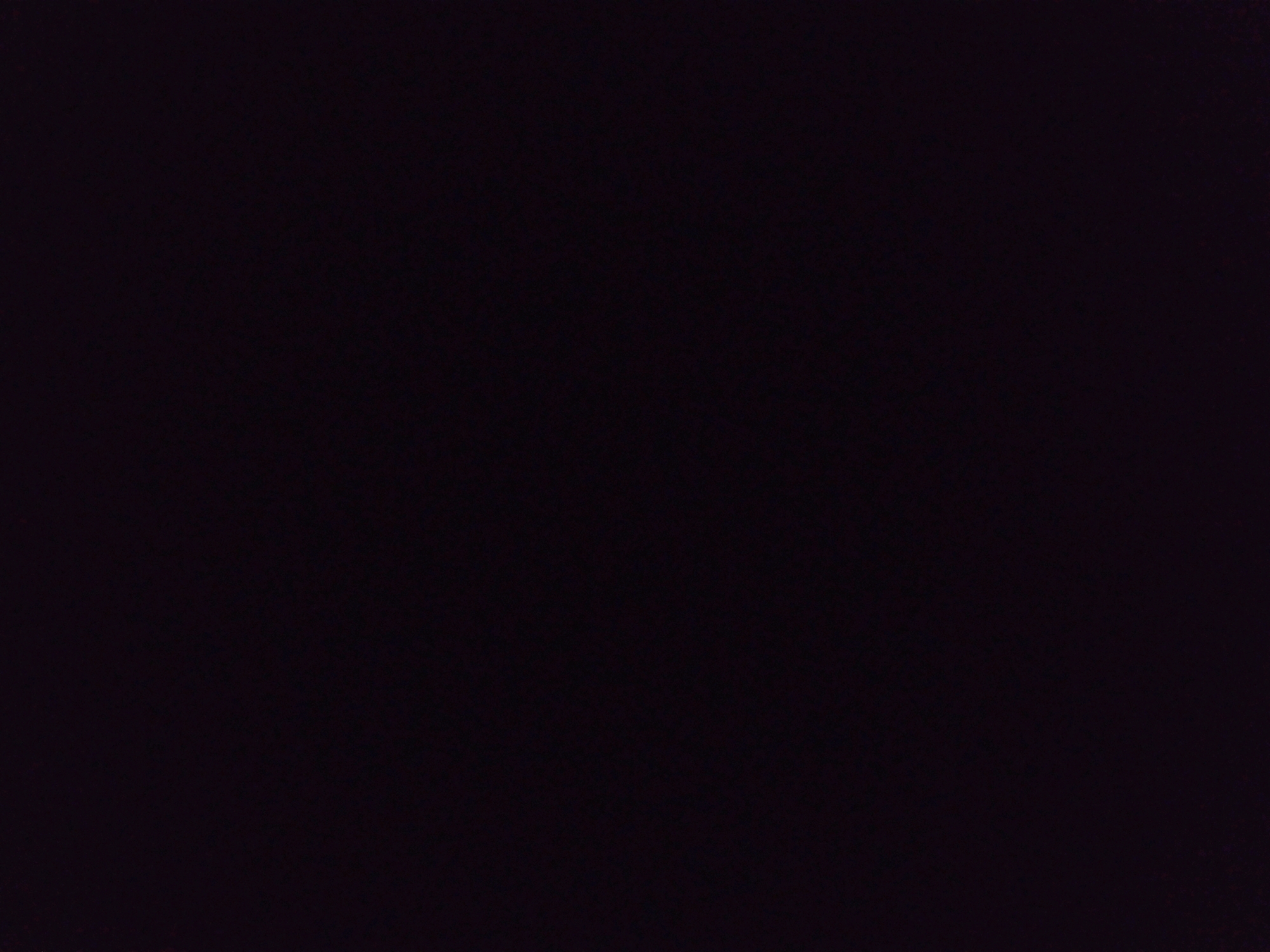 The image provided is a completely black rectangle, suggesting a lack of any visual information. Therefore, it is impossible to describe any scene, including its location in Katowice, Poland, or any details about people, subjects, objects, actions, interactions, or the environment.