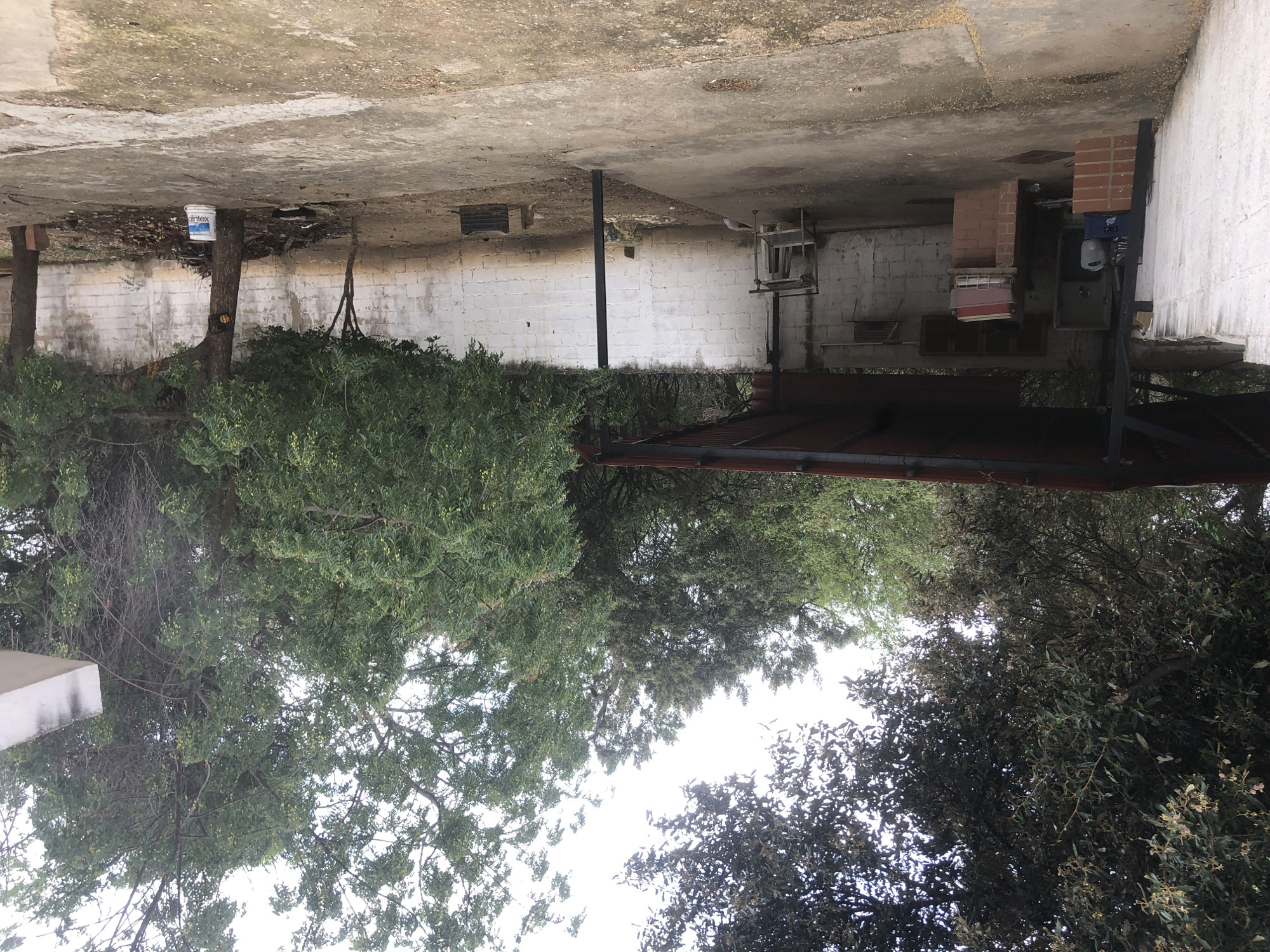 The image depicts an outdoor area, possibly a backyard or patio, with a covered structure and a white brick wall in the background. A large tree with lush green foliage dominates the right side of the frame. In front of the wall, there are piles of debris and a white bucket with blue markings. The ground appears to be concrete and dirt, with some scattered leaves and debris. The covered structure on the left seems to be made of metal and has a red roof. Underneath it, there are some stacks of materials and what looks like a brick barbeque. The overall scene suggests a somewhat unkempt and rustic environment.
