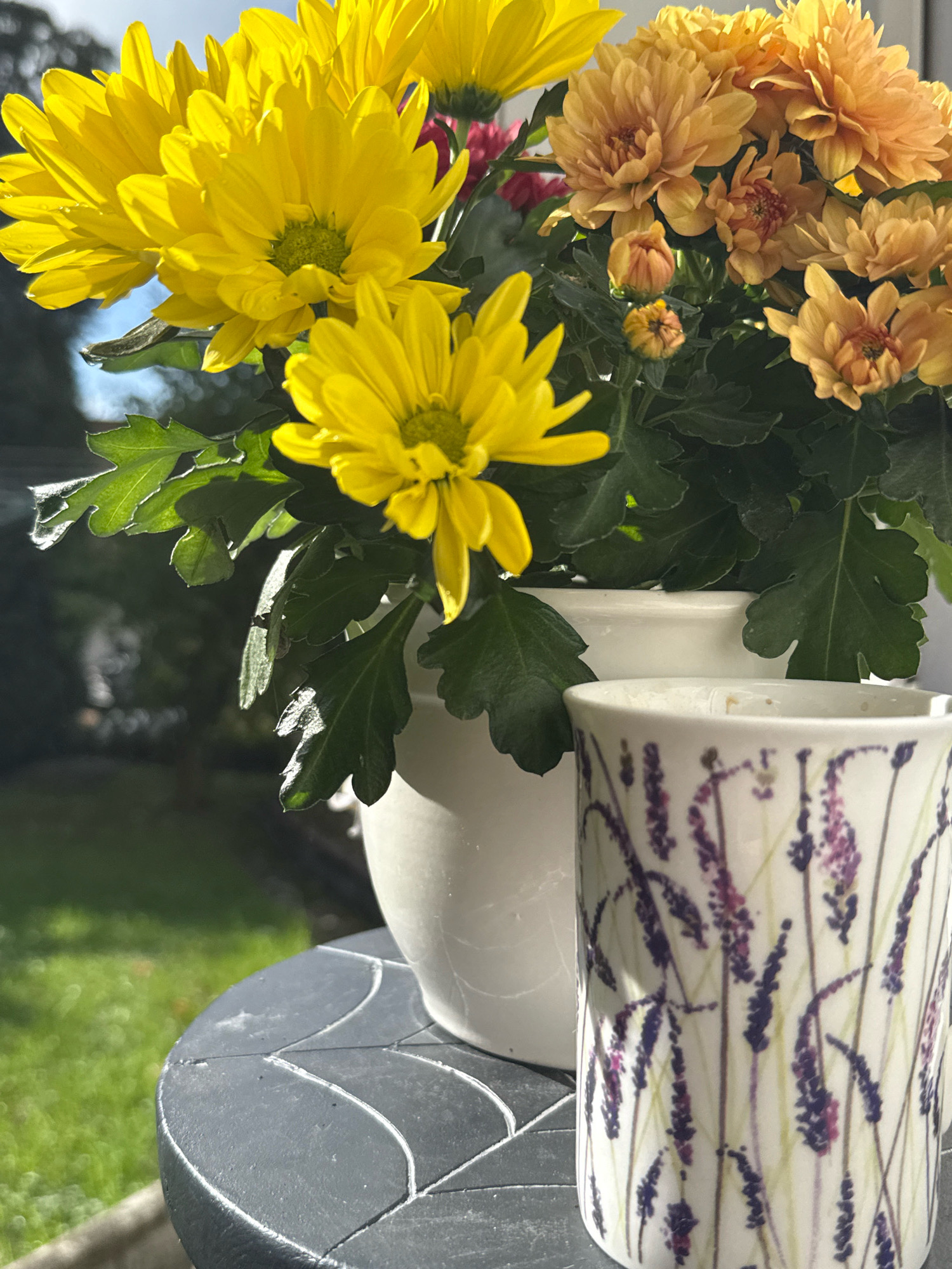 The image depicts an outdoor scene, likely a balcony or patio, in Bad Sachsa, Germany. A white ceramic pot holds a vibrant arrangement of yellow and orange chrysanthemums. To the right of the flowers, a white mug with a lavender floral pattern is positioned on a dark gray, textured table. The background features a blurred view of green grass and foliage, indicating a natural or garden setting. The lighting suggests it is daytime, possibly with sunlight casting shadows. There are no people or animals visible in the image, and no specific actions or interactions are occurring. The focus is on the floral arrangement and the mug, presented in a still-life composition.