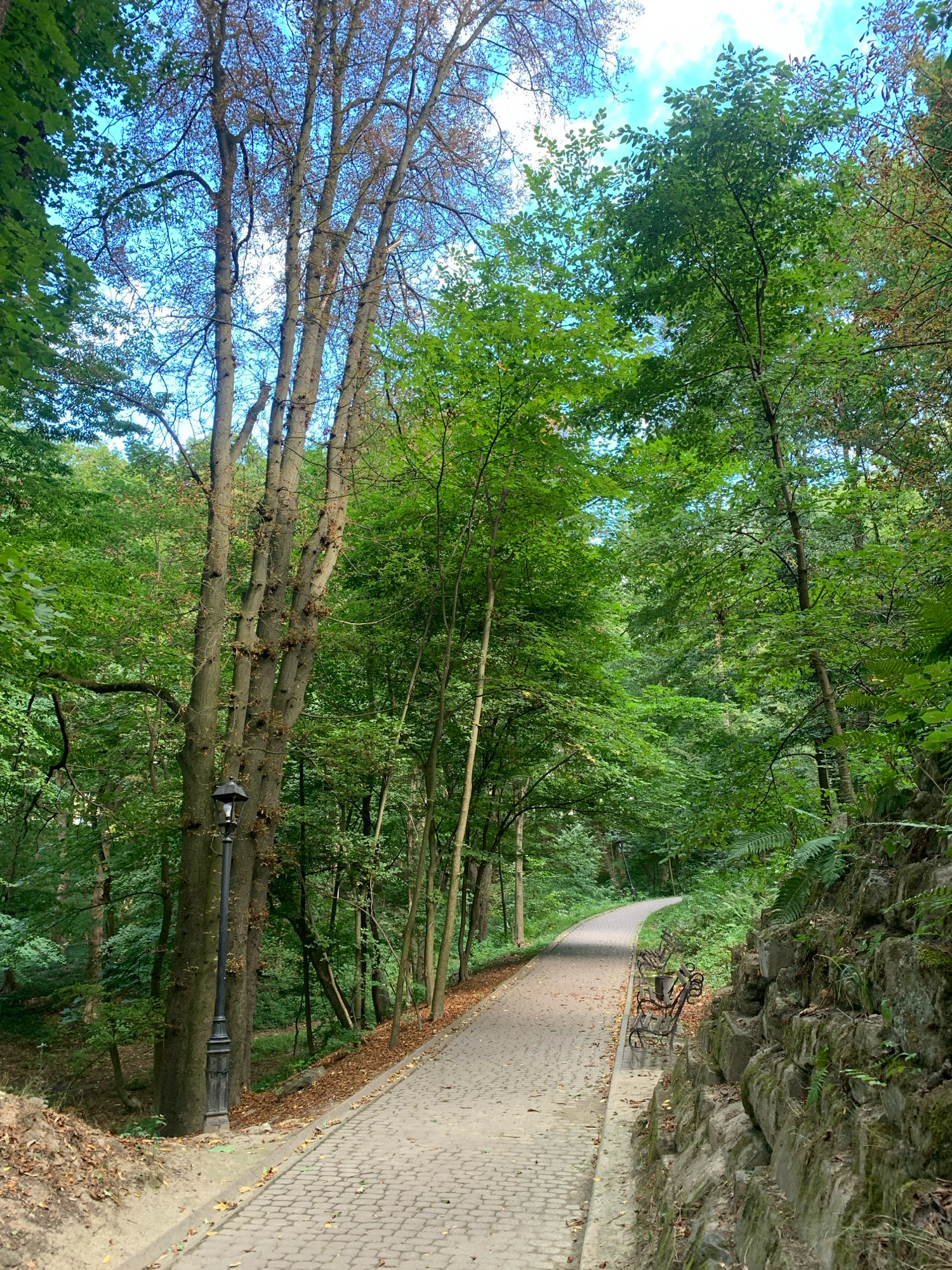 A paved pathway curves through a densely wooded park in Lviv, Ukraine. The path is lined with stone benches and a lamppost. The trees are tall and verdant, with a few dry branches visible in the canopy. The sky above is a bright blue with scattered white clouds. The ground is covered with fallen leaves. The scene depicts a serene and natural environment within an urban setting.