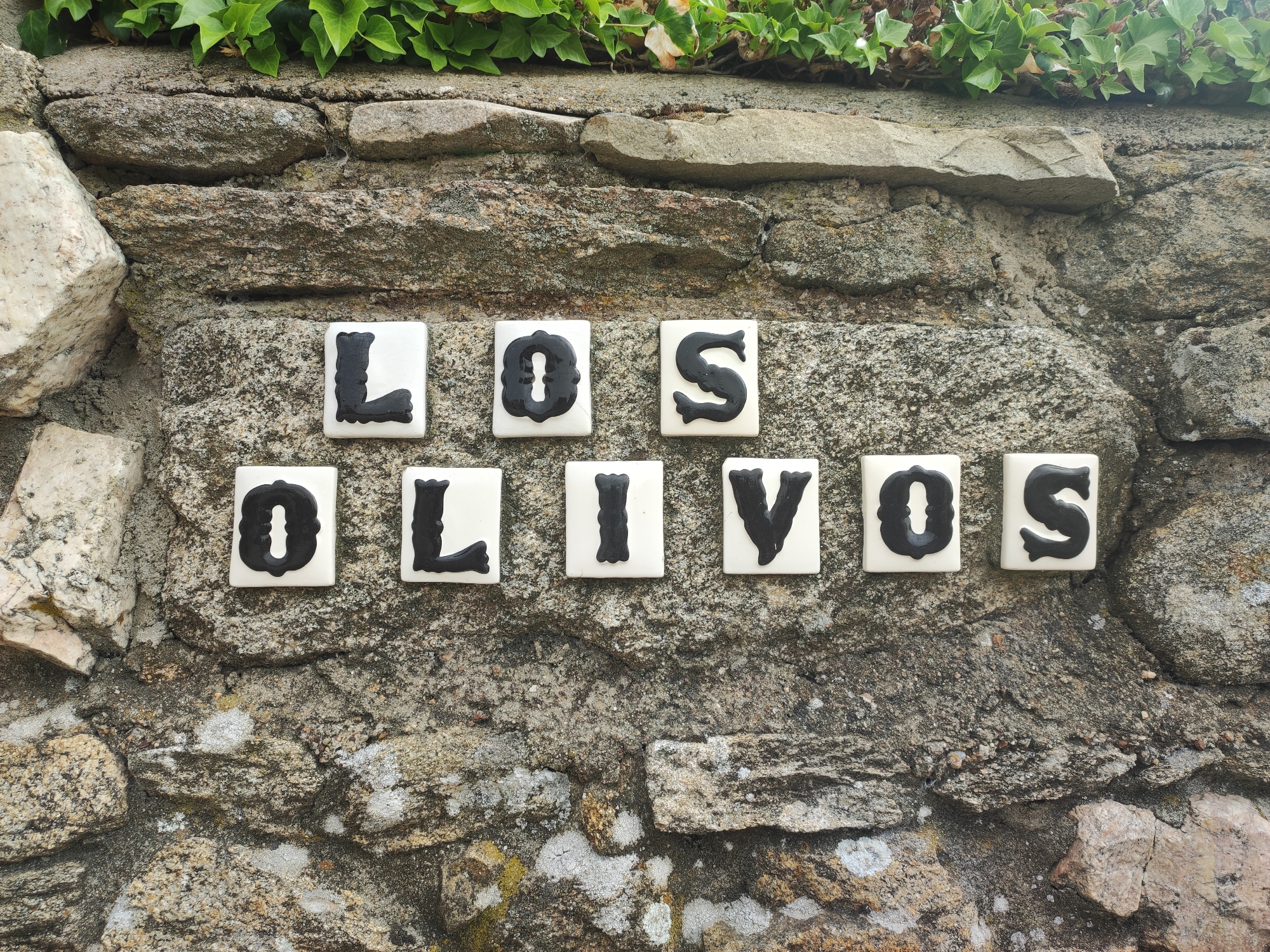 The image displays a rustic stone wall with the name "LOS OLIVOS" spelled out in black and white tile letters. The wall is constructed from irregularly shaped stones of varying sizes and colors, with patches of lichen and moss visible. A cluster of green ivy plants grows along the top of the wall. The tiles are arranged in two rows, with "LOS" on the top row and "OLIVOS" on the bottom row. The letters are bold and black, set against a white square background. The lighting suggests an outdoor setting, likely during the daytime. The image is taken from a frontal perspective, slightly angled upwards towards the ivy.