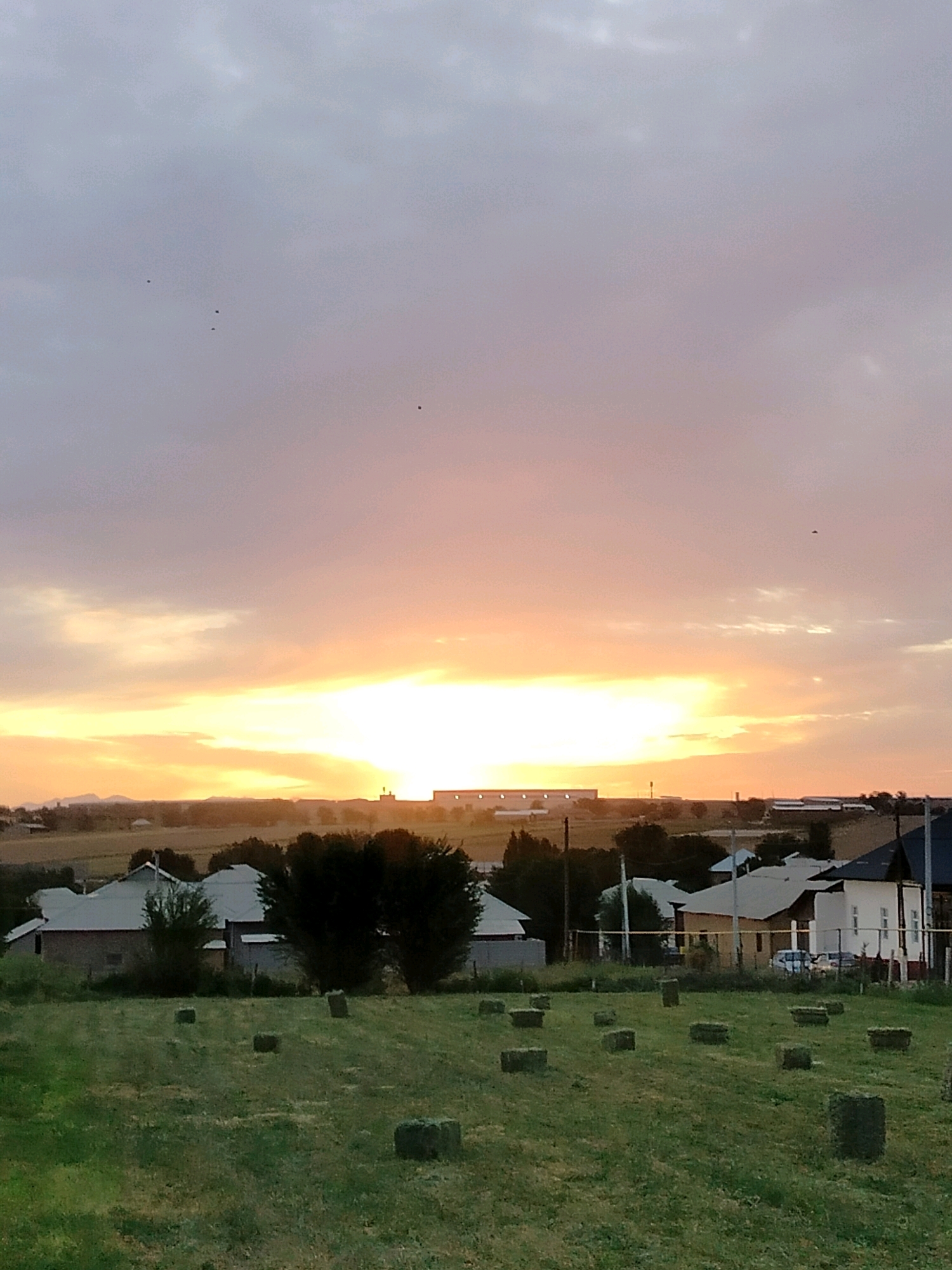 The image depicts a rural landscape at dusk, likely in the vicinity of Көлкент, Kazakhstan. The foreground is dominated by a grassy field dotted with numerous rectangular hay bales. In the middle ground, several houses with pitched roofs are visible, along with some dark green trees. Beyond the houses, a long, rectangular building, possibly an industrial structure or a warehouse, is situated on a low hill. The background features rolling hills and a vast sky filled with soft, diffused light. The sky exhibits a gradient of colors, transitioning from pale grey at the top to hues of pink and bright yellow near the horizon, indicating either a sunrise or sunset. Several small, dark specks, which appear to be birds, are scattered across the sky. The overall atmosphere is serene and tranquil.