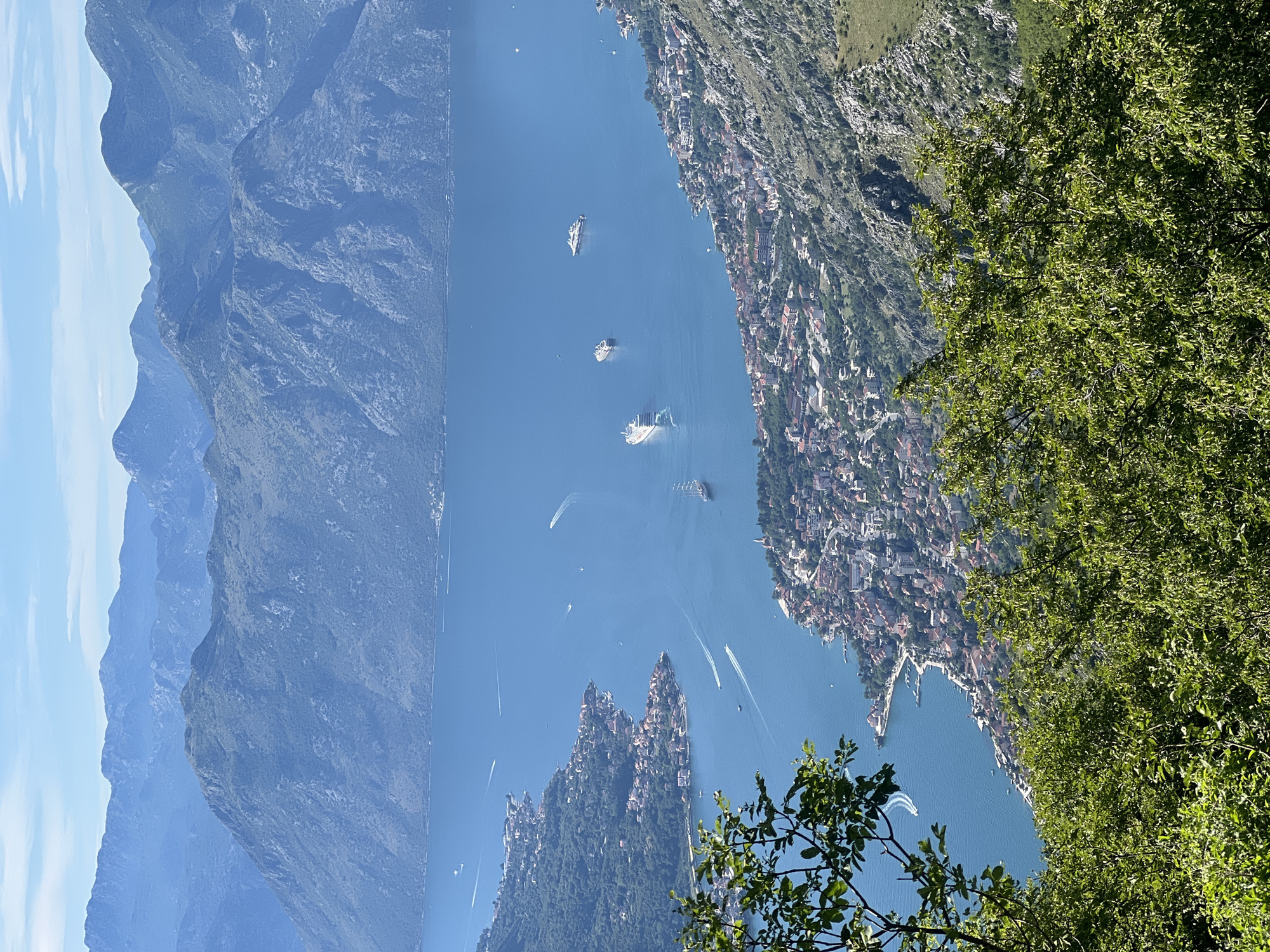 An aerial, high-angle, wide shot shows a sun-drenched, vast, tranquil, deep blue body of water, likely a bay or fjord, bordered by the densely populated, red-roofed coastal town of Žanjev Do, Montenegro. The town hugs the shoreline and extends up the steep, green-and-rocky slopes of the surrounding, imposing mountains. Several cruise ships and smaller boats dot the water. Lush green trees in the foreground obscure parts of the view. The sky is a pale blue with a few wispy clouds. The scene suggests a scenic and popular tourist destination.