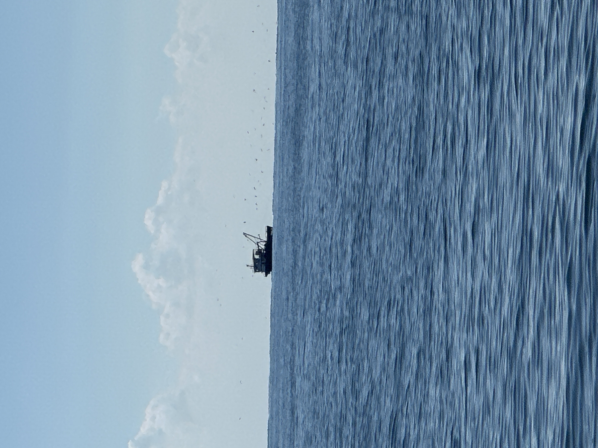 A silhouette of a fishing boat is visible on the horizon of a calm, blue ocean. The boat, a dark shape against the lighter sky, has a single mast with rigging. Above the boat, a scattering of small birds are in flight. The ocean surface is calm with subtle ripples, reflecting the clear sky. The sky is a light blue with sparse, white clouds.
