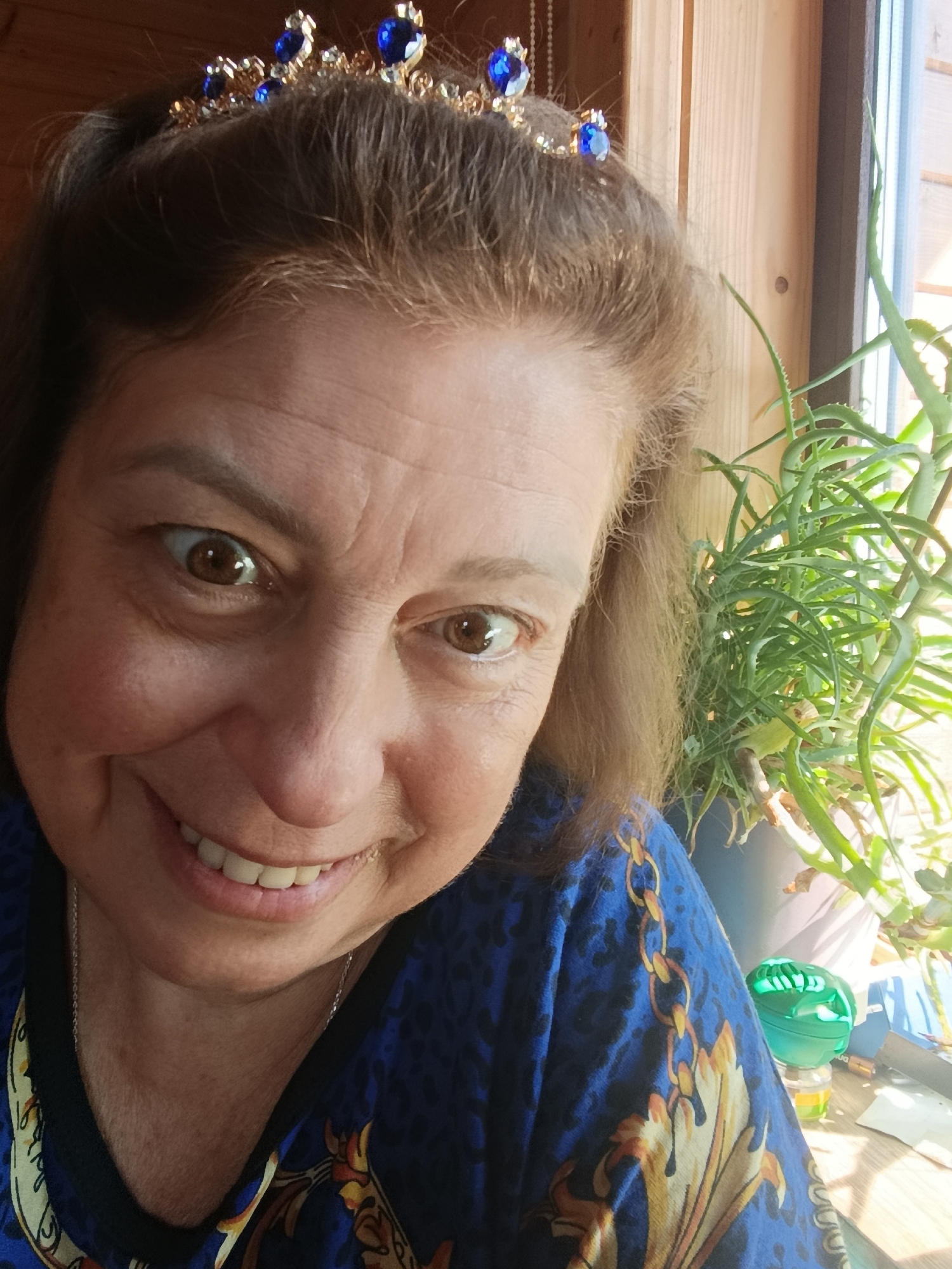 In this close-up selfie, a woman with brown hair and brown eyes smiles widely, her mouth open slightly. She is wearing a golden tiara adorned with blue jewels on her head. She is dressed in a blue shirt with a black collar, featuring a pattern of gold and black chains and floral motifs. Her face is the primary focus, with a hint of her neck and upper chest visible. Behind her, to the right, is a large potted aloe vera plant. The background suggests an indoor setting with wooden paneling and a window providing natural light. There is also a small green object on a surface to the right of the plant. The overall lighting is bright, indicating daylight. There is no visible indication of the location being in Verеya, Russia.