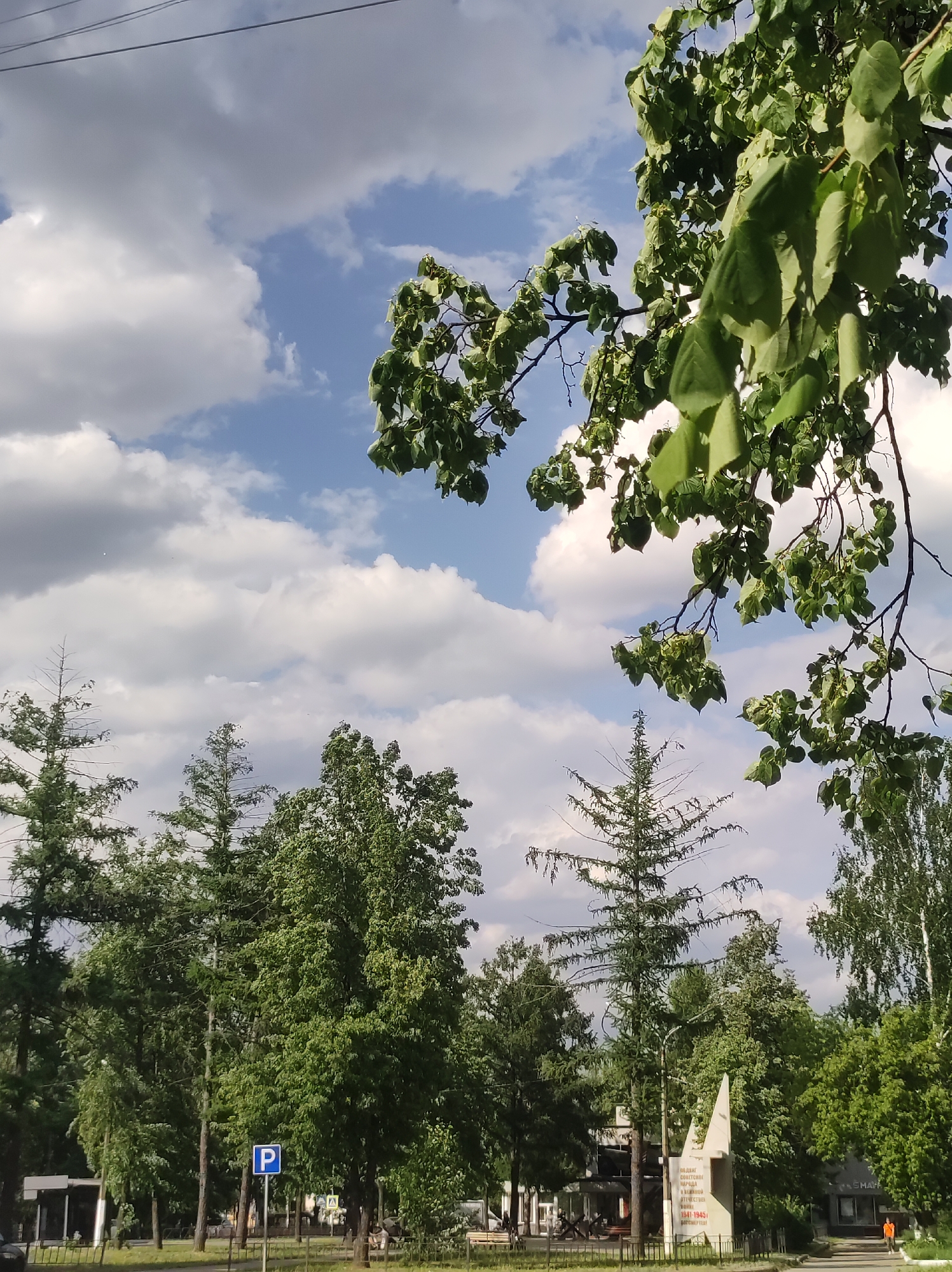 The image depicts a park scene in the city of Chaikovsky, Russia. The sky is partially cloudy with patches of blue. A tree branch with green leaves overhangs the upper right corner. In the midground, a variety of trees are visible including both deciduous and coniferous types. A blue parking sign is on the left. A stone monument can be seen on the right, partially obscured by trees, and bearing the inscription "В ПОДВИГЕ СОВЕТСКОГО НАРОДА В Великой Отечественной ВОЙНЕ 1941-1945гг. БЕССМЕРТЕН!" (In the feat of the Soviet people in the Great Patriotic War 1941-1945 immortal!). A person wearing an orange shirt is walking in the lower right. A building can be seen in the background, behind the monument. There is a barrier fence in the foreground. Overhead power lines are visible in the top left corner.