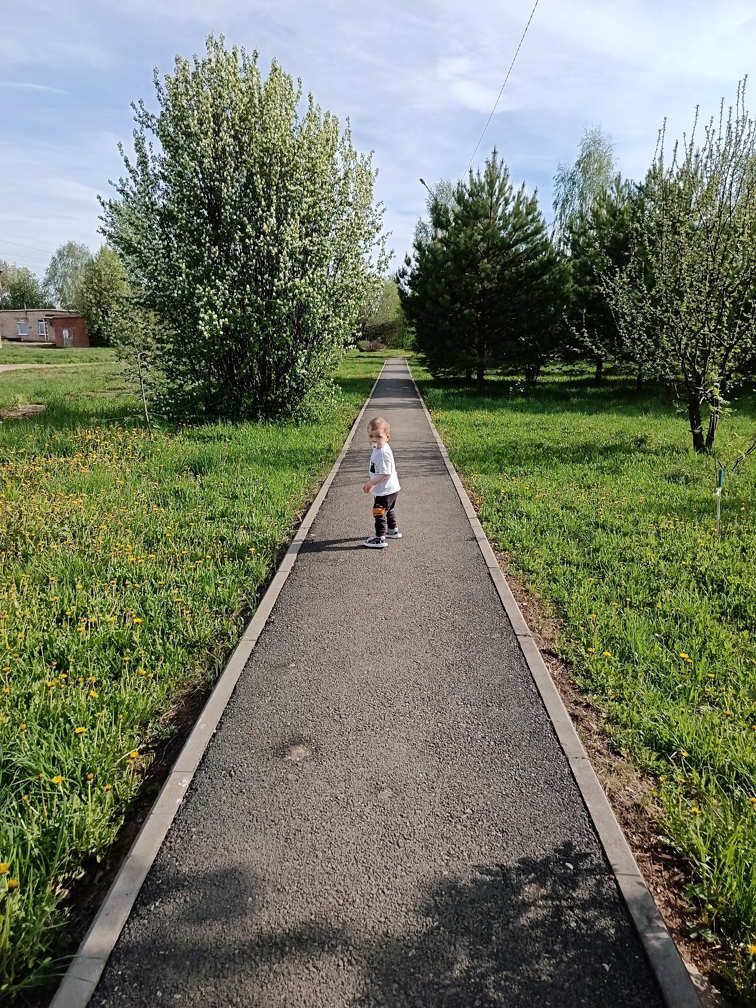 The image captures a young child standing on a paved pathway in a park. The location is Osa, Russia. The child, facing towards the camera, is wearing a light-colored t-shirt, dark leggings, and shoes. The pathway is straight and runs through a green, grassy area with trees lining both sides. The trees on the left have a rounded shape with lush foliage, while the trees on the right appear to be a mix of pine and other deciduous species. Yellow wildflowers are scattered throughout the grass. In the background, on the left side of the path, a small brick building can be seen. The sky is partly cloudy.