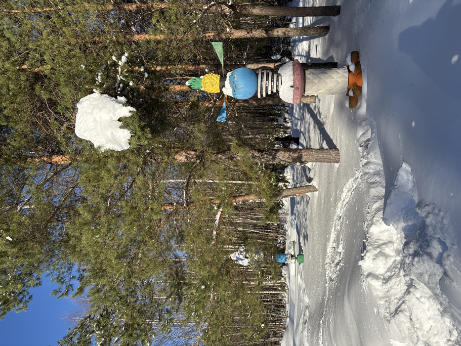 The image displays a snow-covered outdoor environment in Kol'tsovo, Russia, under a clear blue sky. A prominent multi-component sculpture stands in deep snow on the right side of the frame. This sculpture features a textured light-colored base, an orange multi-lobed section, a pink inverted dome, stacked white and dark ring elements partially covered by snow, a large blue sphere, and a yellow pineapple-shaped top with green foliage. Four small, colored fin-like vanes, including blue and green, extend radially from the blue sphere. Above and slightly behind this sculpture, a significant accumulation of snow rests on a pine tree branch. Further into the midground and to the left, a second, smaller sculpture with a blue top and green base is visible amidst the snow and trees. The ground is entirely covered in thick white snow, with a visible path of footprints leading into the scene from the lower left. Numerous pine trees with green needles and brown trunks, some holding patches of snow, populate the area, extending into a denser mixed forest in the background under bright daylight. No human figures are present.