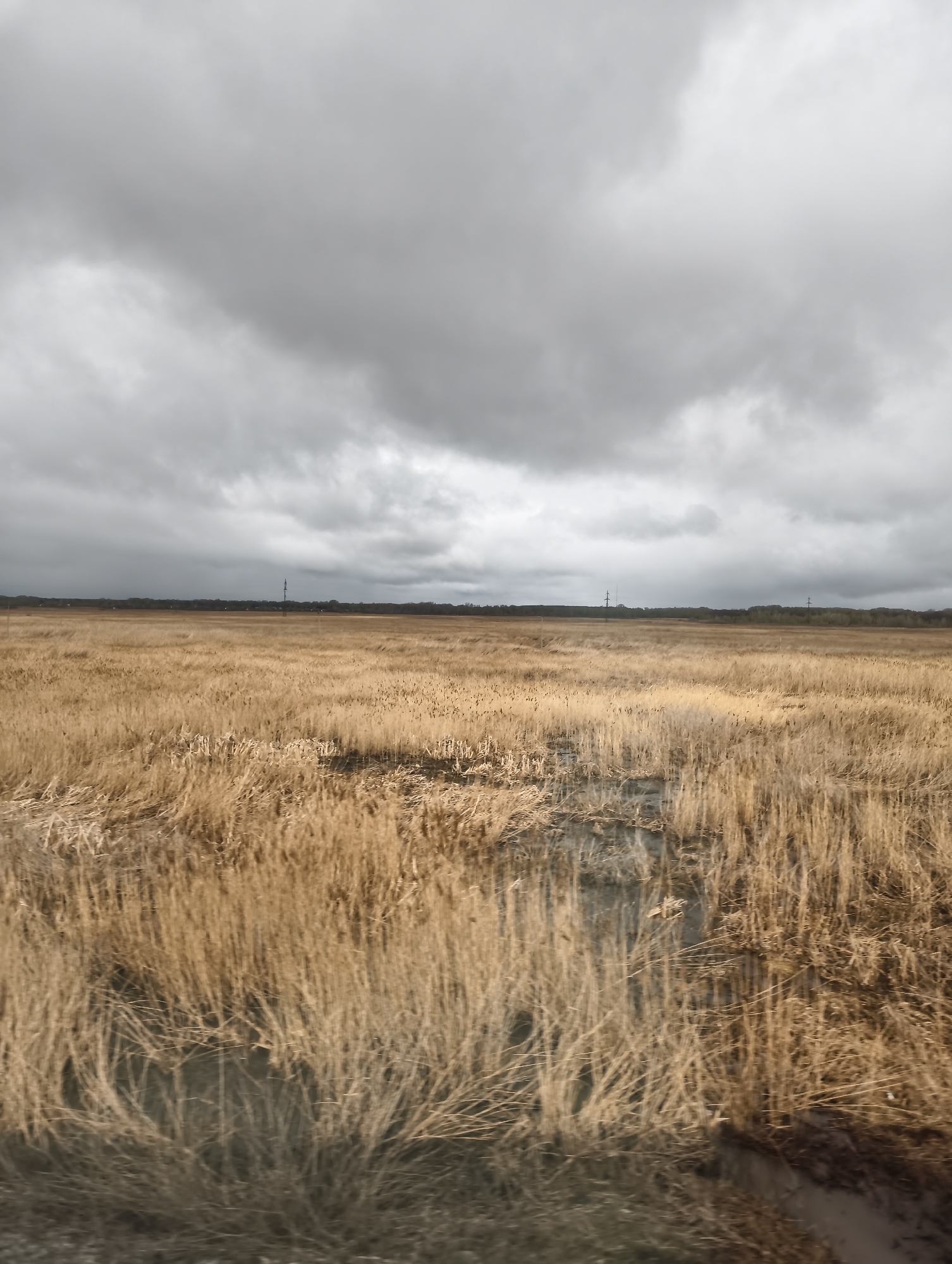 The image presents a broad, expansive field under a heavily overcast sky. The foreground and midground are covered by a vast stretch of dried, golden-brown grass or reeds, which shows signs of being windswept. Interspersed within the field are darker patches, possibly indicating wet ground, mud, or shallow standing water.
In the distance, a dense, dark line of trees forms the horizon, subtly separating the field from the sky. Against this distant tree line, several tall, slender structures, resembling electrical transmission towers or communication masts, are faintly visible.
The sky is filled with thick, dark grey clouds, suggesting a gloomy or pre-storm atmosphere. The lighting is diffused, indicating daytime, but lacking direct sunlight. There are no people, animals, or specific activities depicted. The scene conveys a sense of vastness, desolation, and natural quietude. No discernible text is visible within the image.