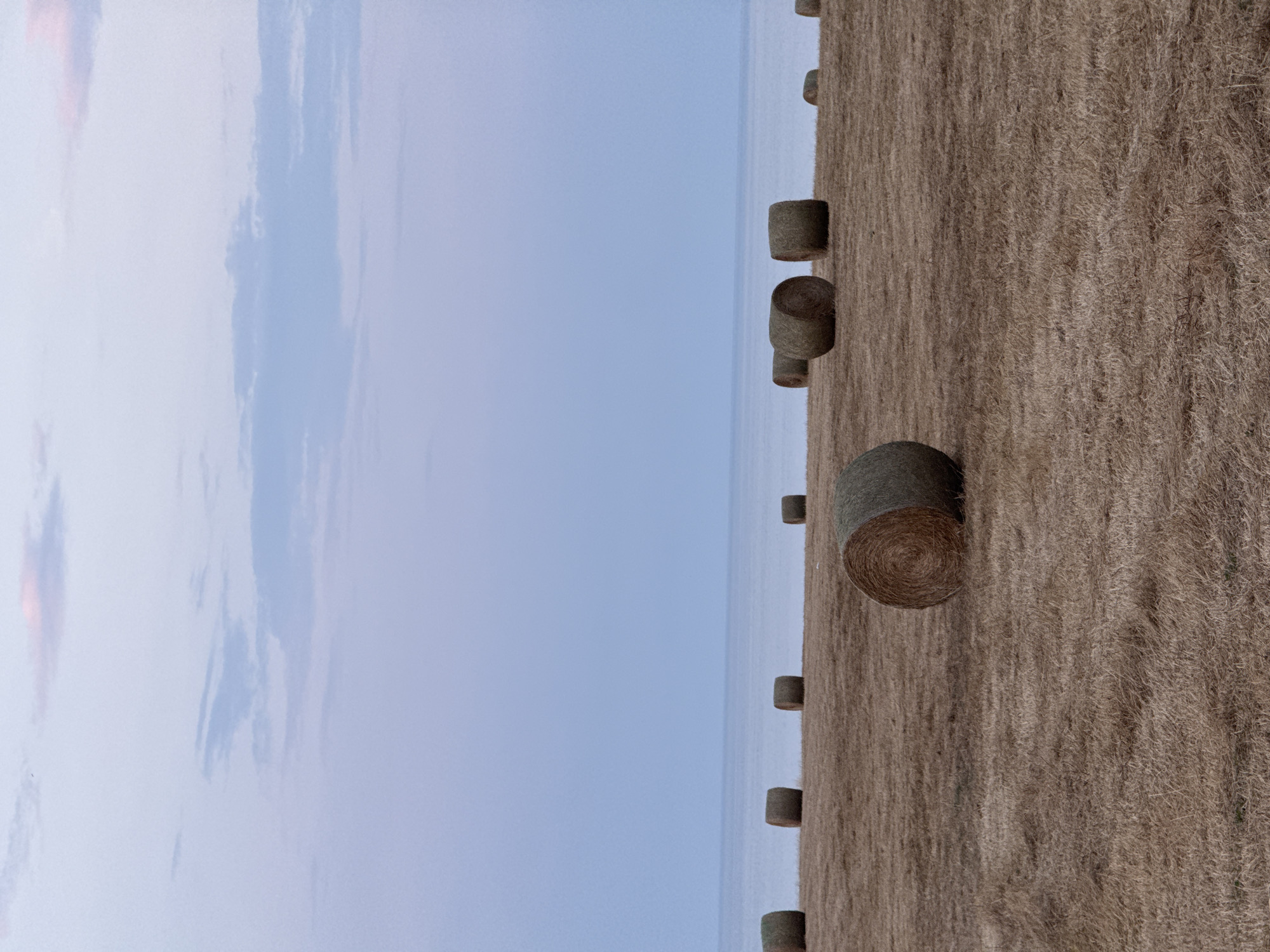 The image depicts a field of hay bales at dusk, with the Black Sea visible in the background. The sky is a gradient of pale blue and pink, with a few wispy clouds. Several round hay bales are scattered across the dry, golden field. Some bales are in the foreground, while others are further back, creating a sense of depth. The overall atmosphere is peaceful and serene, suggesting a rural setting in the vicinity of the city of Varvara, Bulgaria.