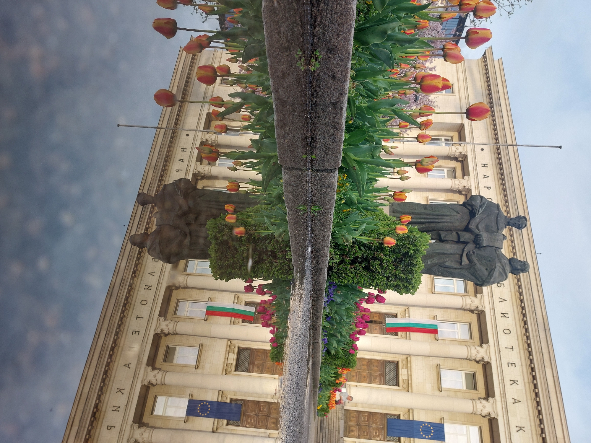 The image, if rotated 90 degrees counter-clockwise, depicts a grand architectural scene mirrored on a reflective surface, likely wet ground or still water. The composition is split horizontally by a central stone or concrete barrier, with the actual scene above and its reflection below.
In the upper half, a stately, multi-story building with neoclassical or classical architecture rises in the background. It features numerous windows, ornate columns with intricate capitals, and a prominent frieze. Text carved into the facade reads "НАРОДНА БИБЛИОТЕКА," which translates to "National Library" in Bulgarian. Bulgarian flags (white, green, red stripes) and European Union flags (blue with yellow stars) hang from the building, signifying its location in Bulgaria. In front of the building, two dark-colored statues of robed male figures, possibly historical or scholarly individuals, are prominently displayed. A long, vibrant flower bed filled with red, orange, yellow, and pink tulips runs along the foreground, adding a splash of color to the scene. The sky overhead is partly cloudy.
The lower half of the image presents a clear, symmetrical reflection of the entire upper scene, creating an almost dreamlike effect. The light suggests it is daytime, possibly morning or late afternoon, and the perfect reflection indicates calm weather, perhaps after recent rain, or an exceptionally still body of water. The blooming tulips suggest the season is spring. The scene portrays a prominent cultural landmark, well-decorated and maintained, conveying a sense of civic pride and historical significance.