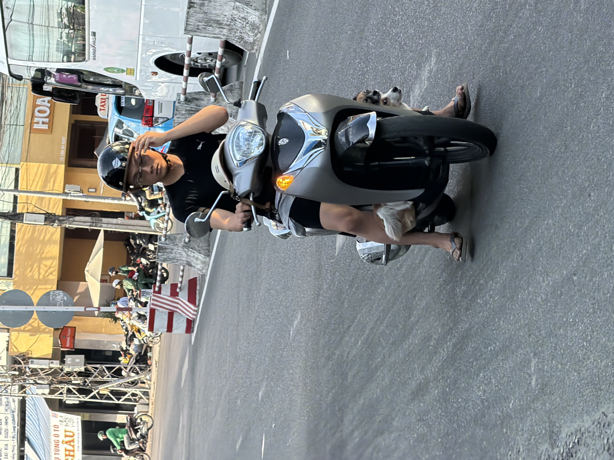 A young man wearing a black t-shirt, black shorts, flip-flops, and a black helmet with a brown brim rides a silver scooter in Nha Trang, Vietnam. He has glasses on and is adjusting his helmet with his right hand. Two small dogs are visible on the scooter, one peeking out from behind the front wheel and the other partially obscured by the man's leg. The scooter has a silver body, black handlebars, and chrome accents. The man is in the middle of a paved road with a white line marking the lane. In the background, there are several parked motorcycles, a white bus with "TAXI" on its roof, a light blue car, and buildings with yellow and white facades. Traffic cones and concrete barriers line the right side of the road. The scene appears to be a street in the city, possibly near a commercial area, under natural daylight.