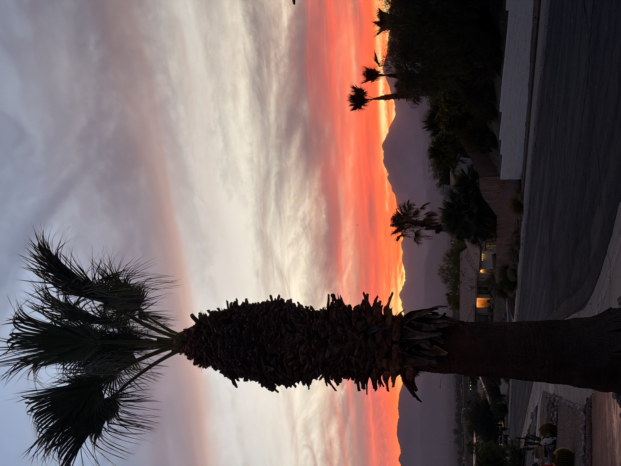 An outdoor, low-angle, vertical shot captures a palm tree silhouette against a sunset sky. The palm tree, with its rough, dark trunk and sparse, spiky fronds, dominates the left side of the frame. The sky is a dramatic gradient of colors, transitioning from a pale, cloudy grey at the top to vibrant hues of orange and red near the horizon. In the background, a row of dark, silhouetted mountains stretches across the scene. Below the mountains, a residential area is visible, with the warm glow of lights emanating from a house. The foreground features a paved road and sidewalk, with some landscaping elements, including cacti, partially visible. The setting appears to be a suburban neighborhood in Desert Hot Springs, California, USA, during dusk. There are no people or visible actions captured in the frame.