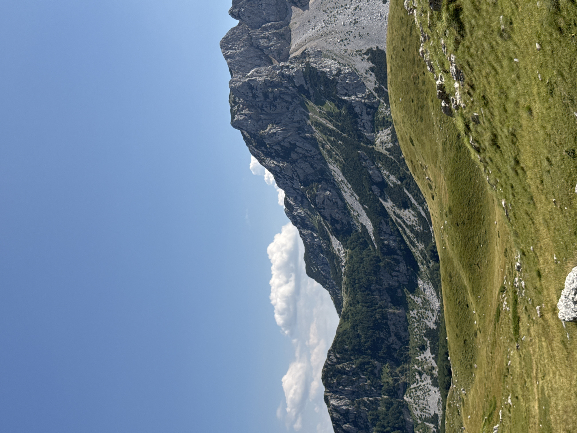 The image depicts a mountainous landscape under a clear blue sky with scattered white clouds. In the foreground, a lush green meadow, dotted with rocks, slopes gently upwards. Behind the meadow, a series of dark green, forested mountain slopes rise, transitioning into rugged, rocky peaks in the background. The overall scene suggests a natural, outdoor environment, likely a wilderness area or a mountainous region. The location is identified as Pašina voda, Montenegro, which is consistent with a mountainous terrain. There are no people or specific objects of interest beyond the natural environment.