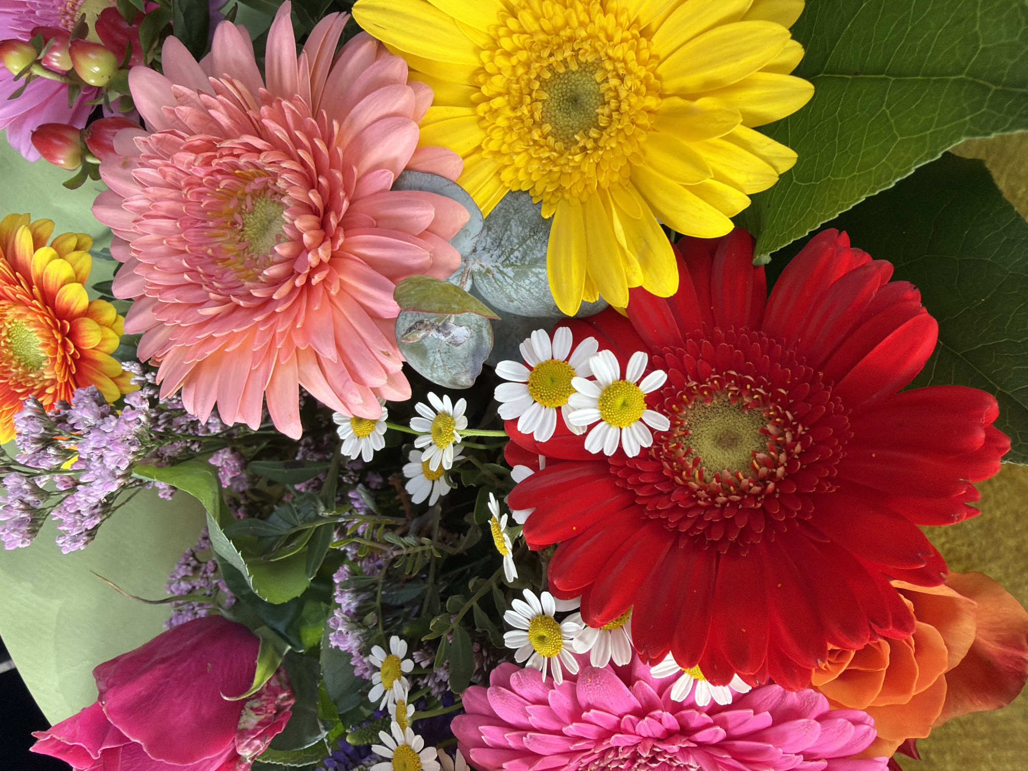 The image displays a close-up, overhead shot of a vibrant bouquet of flowers. The bouquet is primarily composed of Gerbera daisies in shades of pink, red, and yellow, alongside smaller white daisy-like flowers with yellow centers. There is also a large, deep pink rose on the left side, and hints of orange roses or similar flowers at the bottom left. The arrangement includes some wispy purple filler flowers and green foliage. The background is a soft, muted green, likely wrapping paper or a similar material, with some darker green leaves visible in the foreground. The lighting suggests an indoor setting, possibly a florist shop or a home. There is no indication of the city of Etten-Leur, Netherlands, within the image itself.