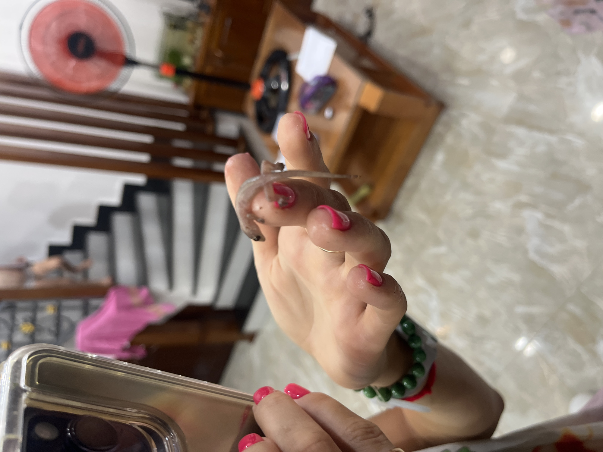 A woman with pink fingernail polish is holding a small, pale lizard in her right hand. The lizard appears to be a juvenile or small species. The woman is wearing a green beaded bracelet on her wrist. The background includes a glimpse of a staircase with black and white striped sides, a wooden table with items on it, and a red electric fan. The scene appears to be indoors, possibly in a residence. The location is identified as Bac Nha Trang Ward, Vietnam.