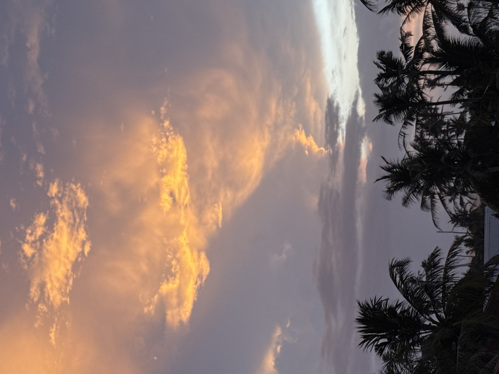 This is a photograph of a sky at dusk, with palm trees silhouetted against it, taken from Goviyapana, Sri Lanka. The sky is filled with clouds that are illuminated by the setting sun, casting a warm orange glow on some and a muted purple hue on others. The palm trees in the foreground are dark and their fronds are distinct against the brighter sky. The image captures the transition from day to night in a tropical coastal environment.