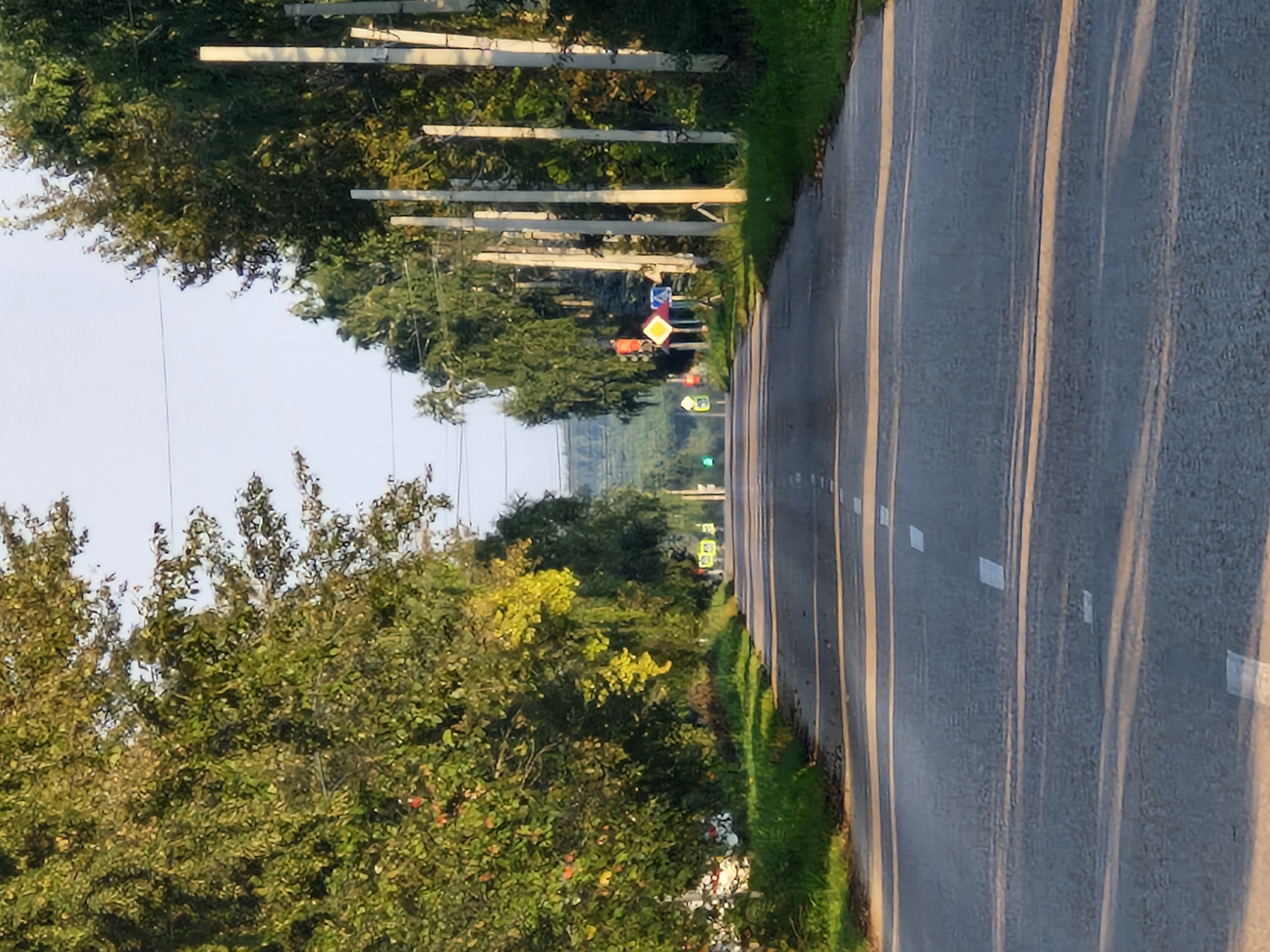 The image shows a paved road with a white dashed line down the center, leading into the distance. The road is flanked by lush green trees on both sides, with some trees showing hints of yellow and red foliage, suggesting it may be late summer or early autumn. In the background, there are utility poles with wires running along the left side of the road. Several road signs are visible on the right side of the road, including what appears to be a traffic light with a red signal illuminated and other warning signs. The sky is clear and a light blue. The scene appears to be a rural or suburban road outside of a city. Given the context, this is likely a road in Buzdyak, Russia.