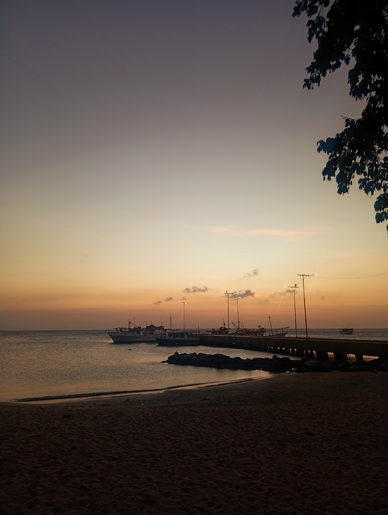 The image depicts a serene coastal scene, likely taken at dusk in Juan Griego, Venezuela. The foreground showcases a sandy beach in shadow, leading to a calm sea. Several boats are docked along a pier, illuminated by electric lights. The sky transitions from orange near the horizon to a softer purple hue above. A tree branch with leaves is visible in the upper right corner.