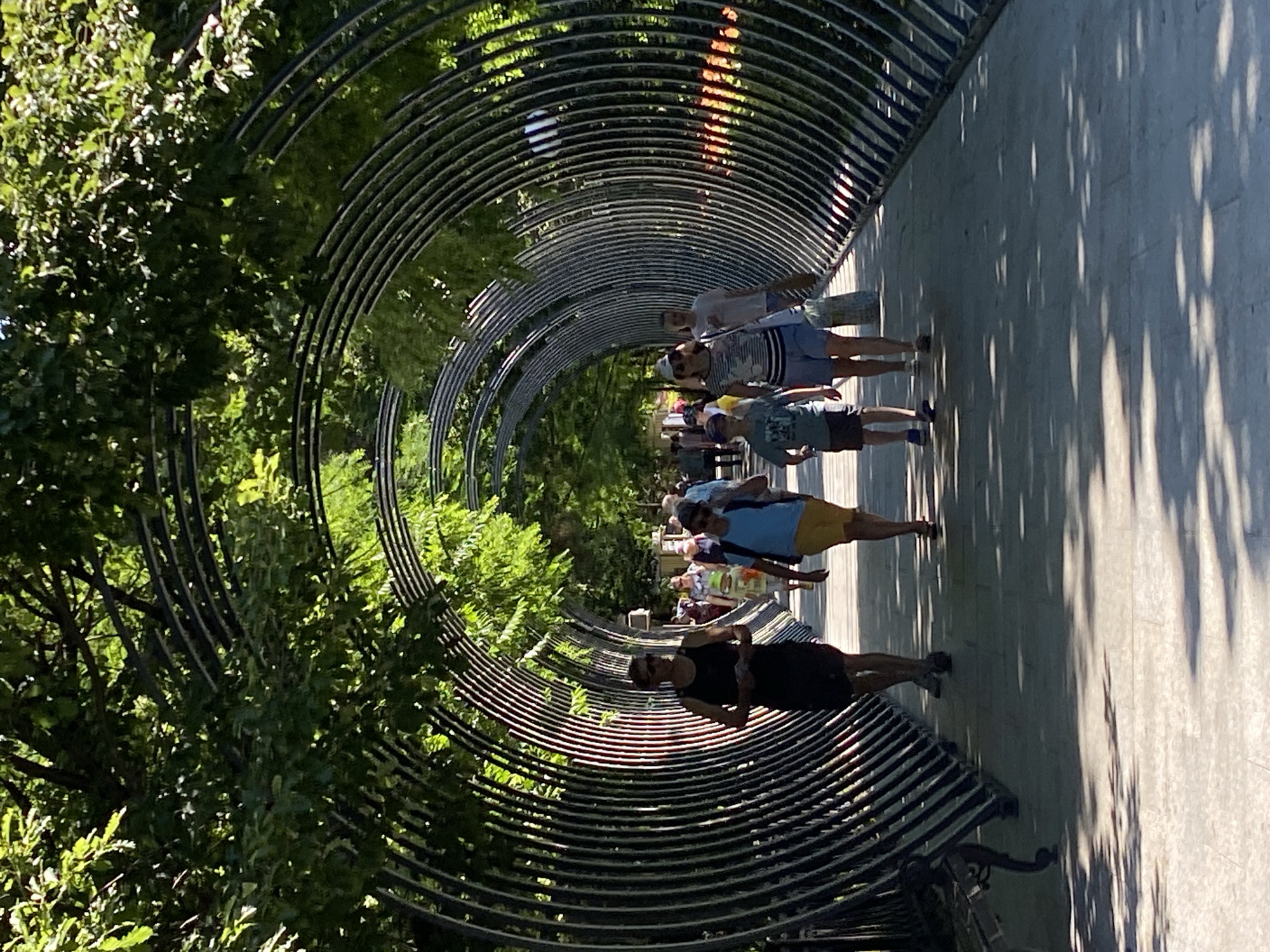 The image depicts a curved walkway tunnel constructed from metal arches, covered in lush green trees and foliage on one side, and a sun-dappled paved walkway on the other. Several people are walking through the tunnel, appearing relaxed and enjoying the outdoors.
The subjects are:
* **People:** A diverse group of individuals, including adults and possibly children, are seen strolling along the path. They are dressed casually in summer attire such as shorts and t-shirts. One person in the foreground is wearing a black dress and sunglasses. Another person further back is wearing a blue t-shirt and yellow shorts. Others are visible in the background, suggesting a pleasant day for a walk.
* **Objects:** The primary object is the architectural tunnel itself, with its repetitive curved metal framework. Trees and foliage form a natural border along the left side of the walkway. The ground is paved, and shadows from the trees and the tunnel structure create a dappled effect on the surface.
* **Scene/Setting:** The scene is an outdoor public space, likely a park or promenade, characterized by the unique tunnel architecture and abundant greenery. The walkway is wide enough for multiple people to pass.
The activity taking place is leisurely walking and enjoying the environment. The time of day appears to be daytime, with bright sunlight casting distinct shadows, suggesting a sunny day. The presence of trees indicates a warm season. The overall mood seems peaceful and relaxed, with people enjoying a pleasant stroll. No visible text is present in the image. The location context provided is Sochi, Russia.