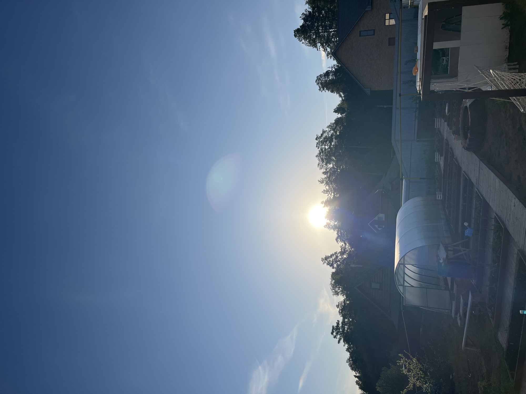 The image depicts a scene in Chaikovsky, Russia, under a bright, clear, blue sky with the sun shining directly into the camera, creating a lens flare. The sun appears to be setting or rising, silhouetting the treeline and some structures.
In the right foreground, there's a greenhouse with a curved, translucent roof. Adjacent to the greenhouse is a wooden walkway. Further back, there's a two-story brick building with visible windows. A fence is also visible between the brick building and the greenhouse. The background consists of dense trees.