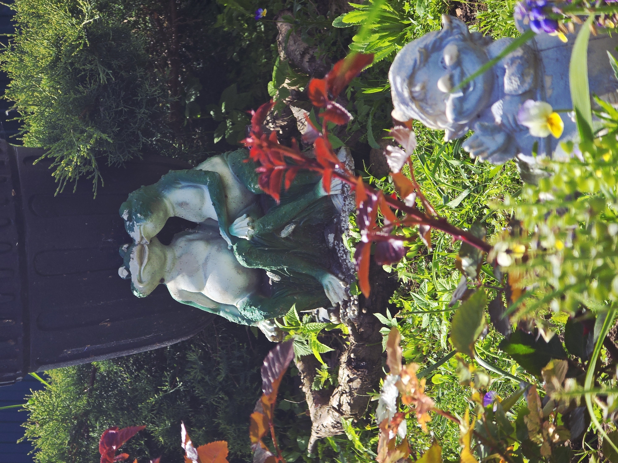 The image depicts a garden scene. Two frog figurines are positioned together, suggesting interaction. Adjacent to them is a statue of a person or figure. The surroundings consist of green vegetation, including grass, and plants with red leaves. The location is specified as Онуфриево, Russia.
