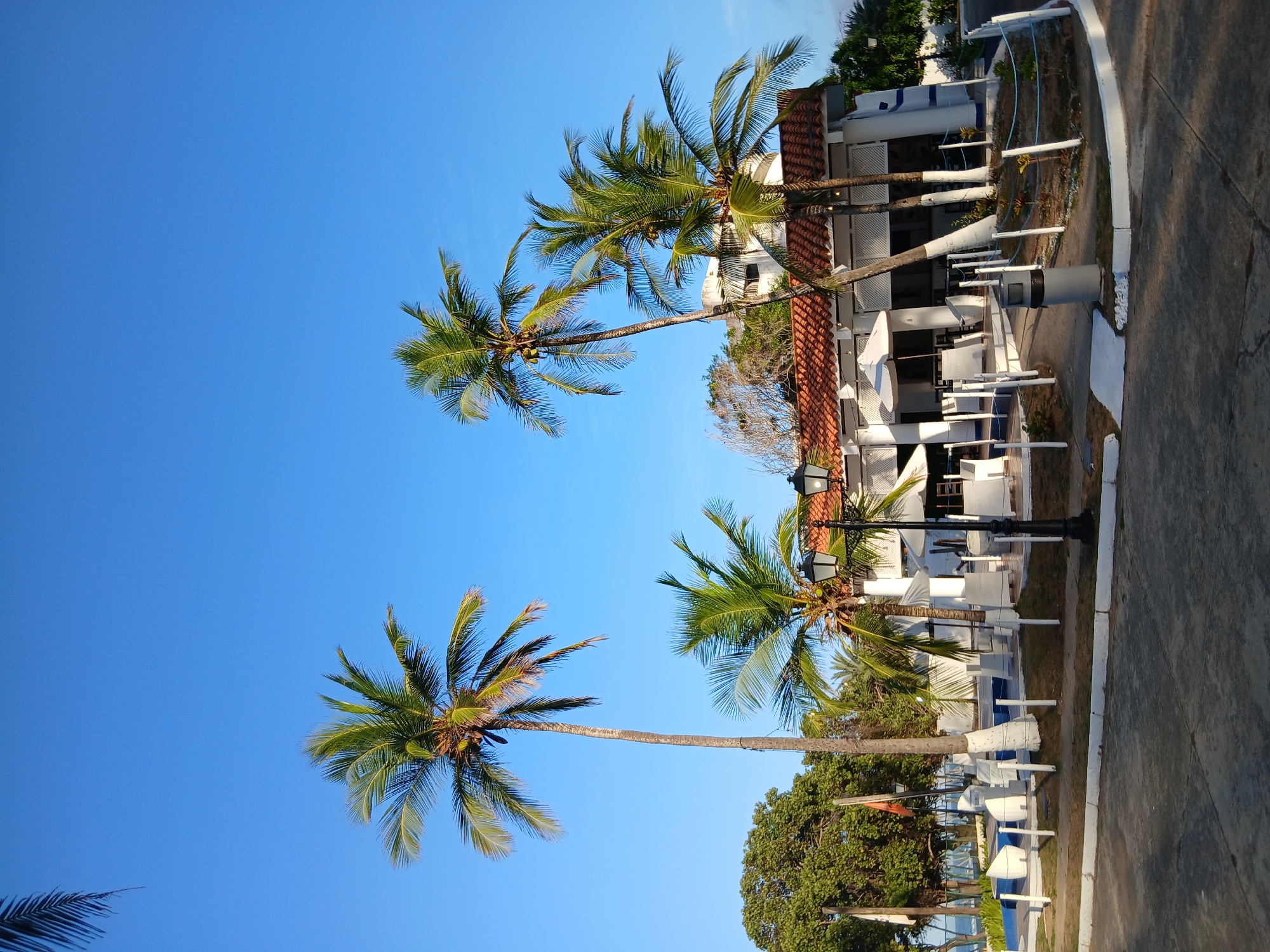 The image depicts a clear blue sky partially obscured by the fronds of several palm trees in Playa El Agua, Venezuela. Underneath the palm trees, a white building with a terracotta roof is visible. White tables and chairs are situated in front of the building, suggesting an outdoor seating area. A street lamp is also visible. Next to the building is the street with a white painted curb. Some green vegetation (trees and bushes) is present.
