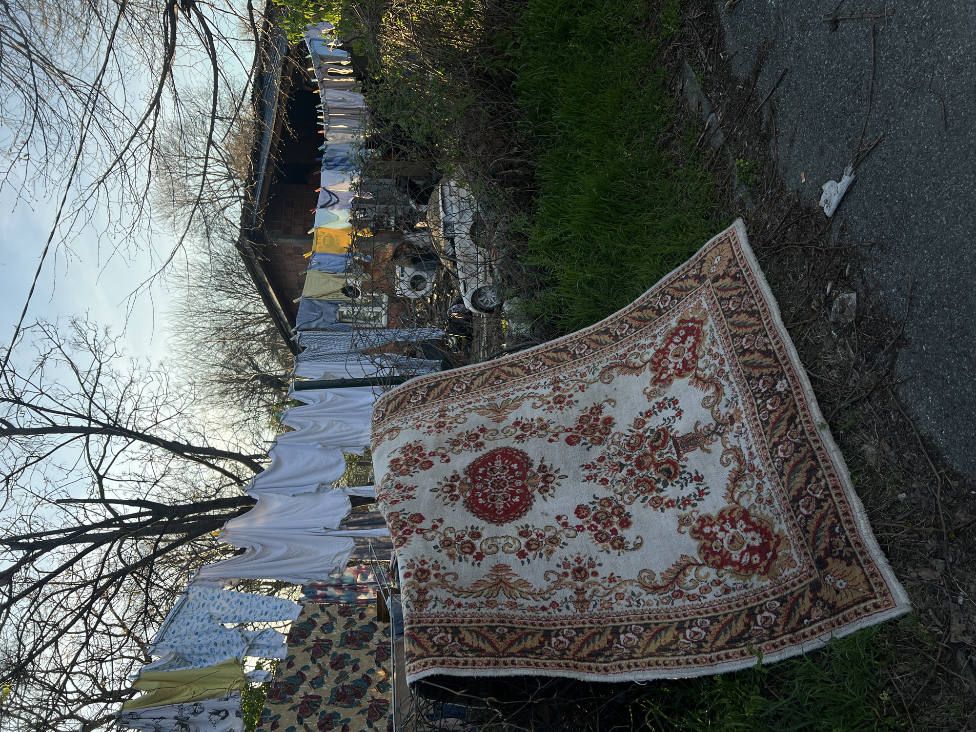 The scene depicts an outdoor space in Belgrade, Serbia. A faded, floral-patterned rug lies partially on grass and partially on asphalt. Behind the rug, a clothesline stretches across the scene, laden with various items of laundry, including predominantly white shirts, baby clothes, and patterned fabrics. A brick structure with a corrugated metal roof is visible in the background. A dilapidated vehicle, including a washing machine are behind the clotheslines. Bare trees with branching limbs fill the left side of the frame against a pale sky.