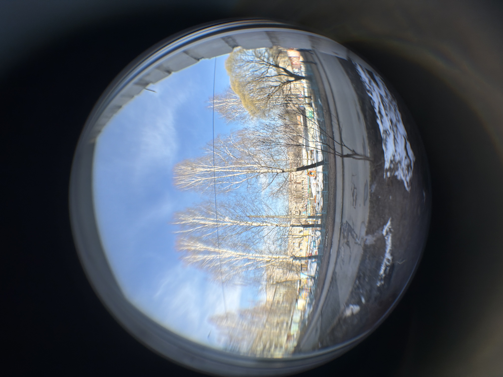 The image, taken through a fisheye lens, shows a view of an outdoor scene in Izhevsk, Russia. Several birch trees stand with bare branches against a pale blue sky with light cloud streaks. Behind the trees are multi-story buildings, likely residential. To the right of the trees is a sidewalk and a road with patches of melting snow. The view is contained within the circular frame of what appears to be a peephole or other similarly mounted lens, with dark surroundings.