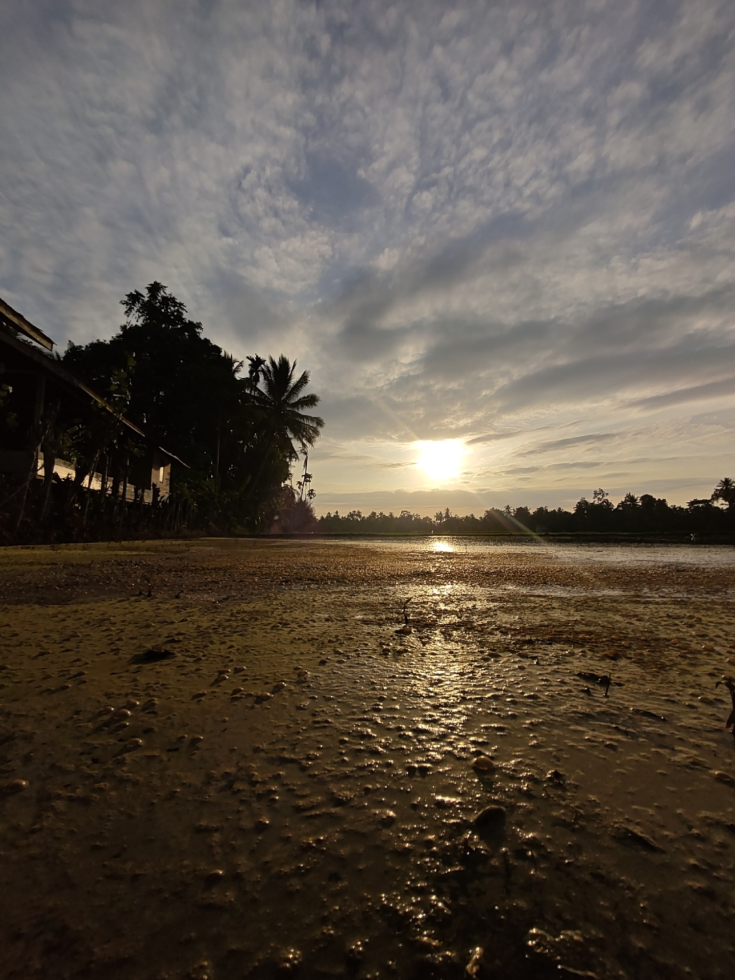 The image depicts a muddy field with scattered debris, reflecting the golden sunlight of a sunrise or sunset. The sky is filled with wispy clouds, with the sun prominently positioned above the horizon, casting a radiant glow and visible sunbeams. In the background, a line of trees forms a silhouetted backdrop. To the left, a building with a wooden structure and a sloping roof is partially visible, with its walls illuminated by the warm light. The foreground is dominated by the textured, wet mud, with small mounds and puddles of water. The overall scene suggests an outdoor rural or semi-rural environment.