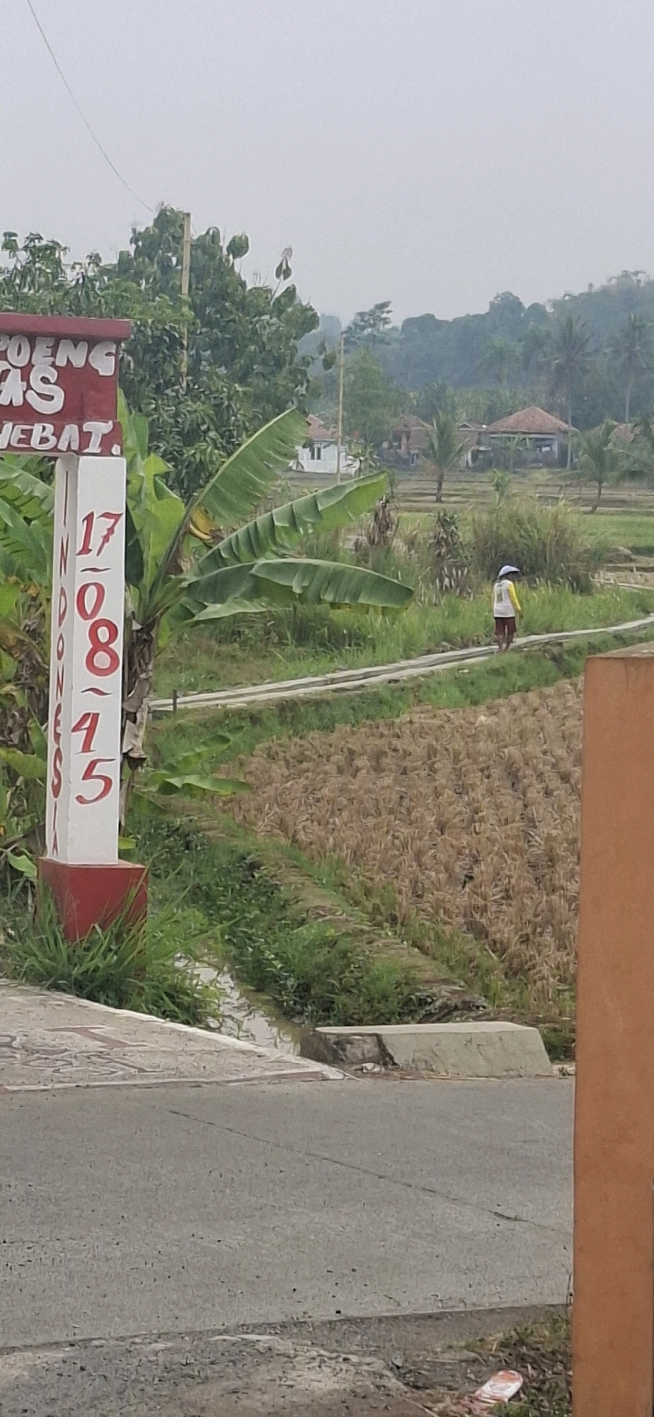 The image depicts a rural scene in Cibinong Hilir, Indonesia. In the foreground, a red and white signpost with red lettering is visible, displaying the text "POENG KAS HEBAT" and vertical numbers that appear to be "17 008 1 4 5". To the right of the signpost, a person wearing a yellow shirt, white vest, and a blue hat is walking along a pathway that runs through a harvested rice field. The field is dry and shows the stubble of rice stalks. Beyond the field, there are trees and several houses with red-tiled roofs, suggesting a residential area amidst agricultural land. The sky is overcast.