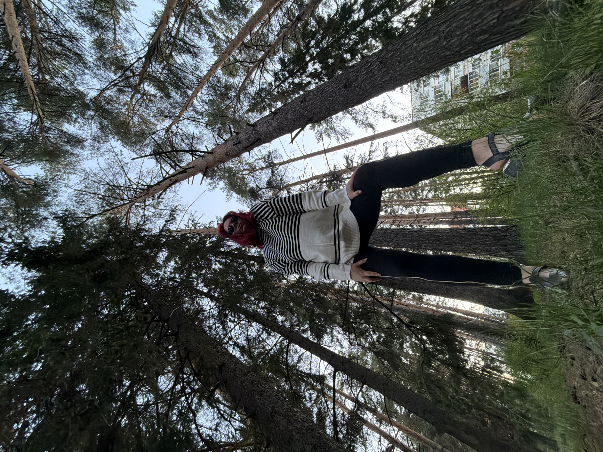The image depicts a person standing in a pine forest, appearing to be in a park or natural area within Chaikovsky, Russia. The person has red hair and is wearing sunglasses, a horizontally striped black and white sweater, and black pants. They are positioned amidst several tall pine trees. The camera angle is looking upward from ground level, capturing the canopy of the forest. In the background, visible through the trees, is a building with multiple windows. The ground is covered with grass and pine needles.
