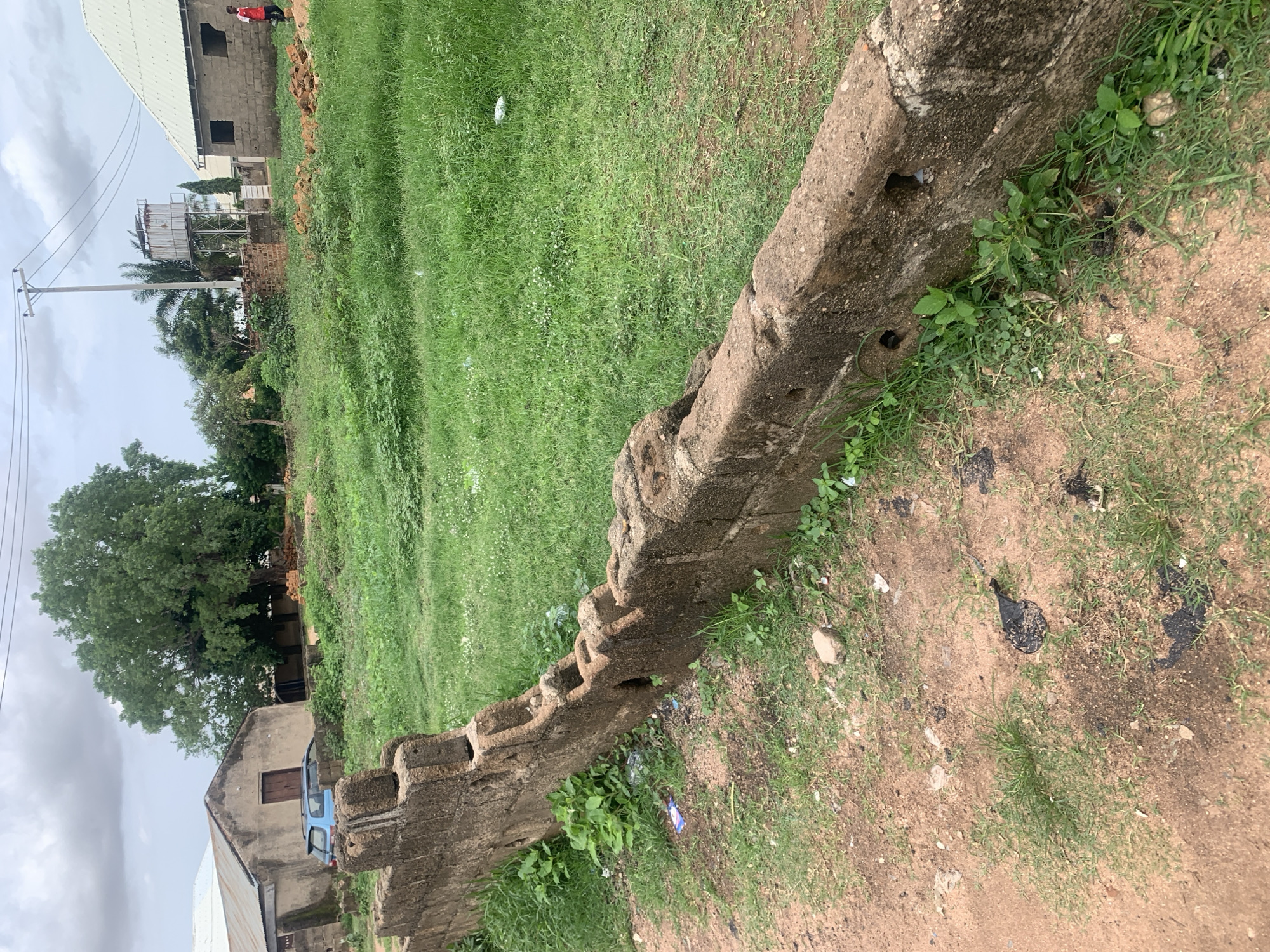 The image depicts a street scene in Jalingo, Nigeria. In the foreground, a weathered, crumbling stone wall runs horizontally across the frame, partially overgrown with grass and weeds. The wall is constructed from rough, rectangular blocks and has visible holes and indentations. To the left of the wall, a dirt path with scattered debris and patches of grass is visible.
Beyond the wall, a grassy field stretches into the middle ground, dotted with small white wildflowers. In the background, various buildings are present. To the left, a light-colored, single-story building with a corrugated metal roof has a wooden door and a blue vehicle parked in front of it. Further back and to the right, a large, mature tree with dense green foliage dominates the landscape. To the right of the tree, a structure with a light-colored roof and unfinished brick walls stands, with one visible dark window opening. Behind this building, a water tower on a metal frame is visible, with electrical wires running overhead. A person in a red shirt and white shorts is walking away from the camera in the background, near the unfinished building. The sky is overcast with scattered clouds.