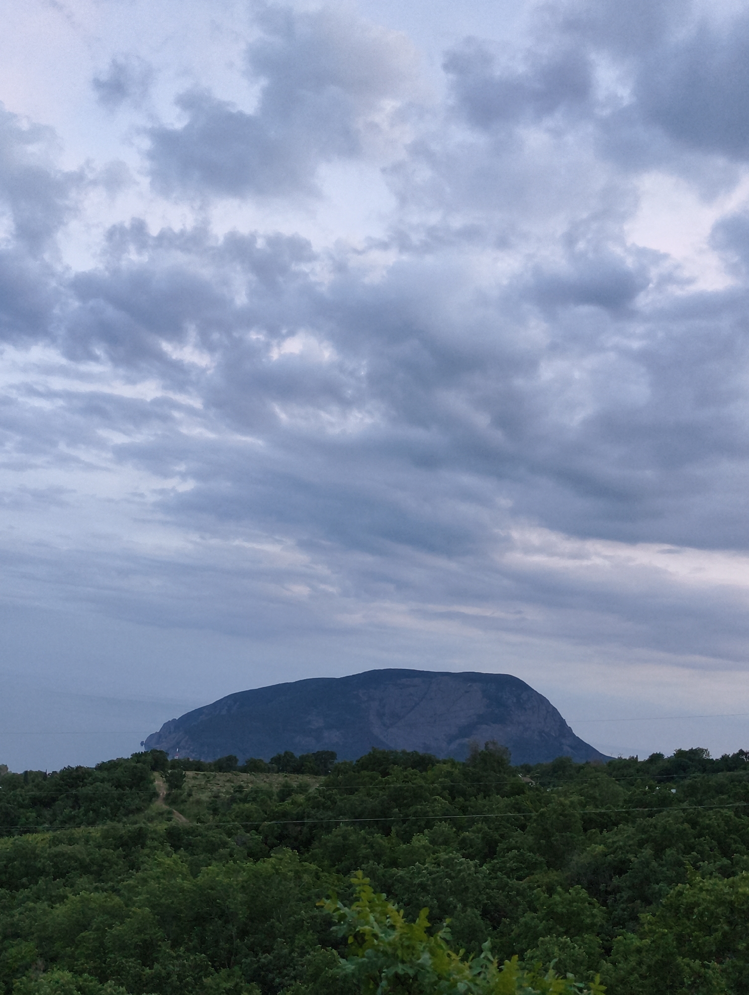 This forensic description details a natural landscape located in Kiparisnoe, Ukraine, captured under an overcast sky. The image features a prominent, dark, and massive mountain dominating the midground, its summit appearing rounded or plateau-like, set against a lighter, hazy horizon. To the immediate left of the mountain, a segment of a calm body of water, likely a sea, is visible extending towards the distance, with a faint headland or coastline receding into the mist.
The upper two-thirds of the scene are filled with a dense, unbroken expanse of grey and off-white stratocumulus clouds, indicating an entirely overcast condition or the approach of dusk. The light is diffused, casting no distinct shadows.
The foreground is densely populated with a vast canopy of dark green deciduous trees and shrubs, obscuring the ground level. These trees extend across the entire width of the lower third of the image. Above this dense foliage, a less vegetated, lighter-colored dirt path or track is discernible, winding subtly uphill towards the base of the mountain. Thin, horizontal dark lines, consistent with utility wires such as power or communication cables, traverse the midground horizontally, positioned above the tree line and below the mountain's lower slopes. No individuals, animals, or explicit human activities are present within the frame. The overall environment conveys a quiet, natural scene under muted lighting conditions.